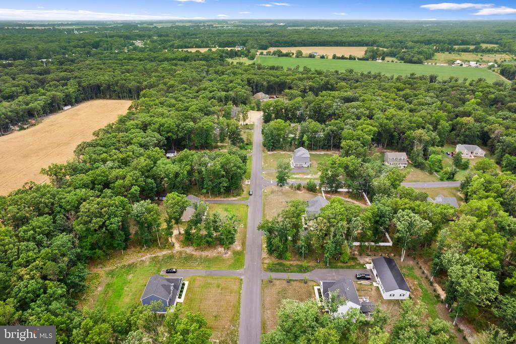8 WHITETAIL DRIVE
