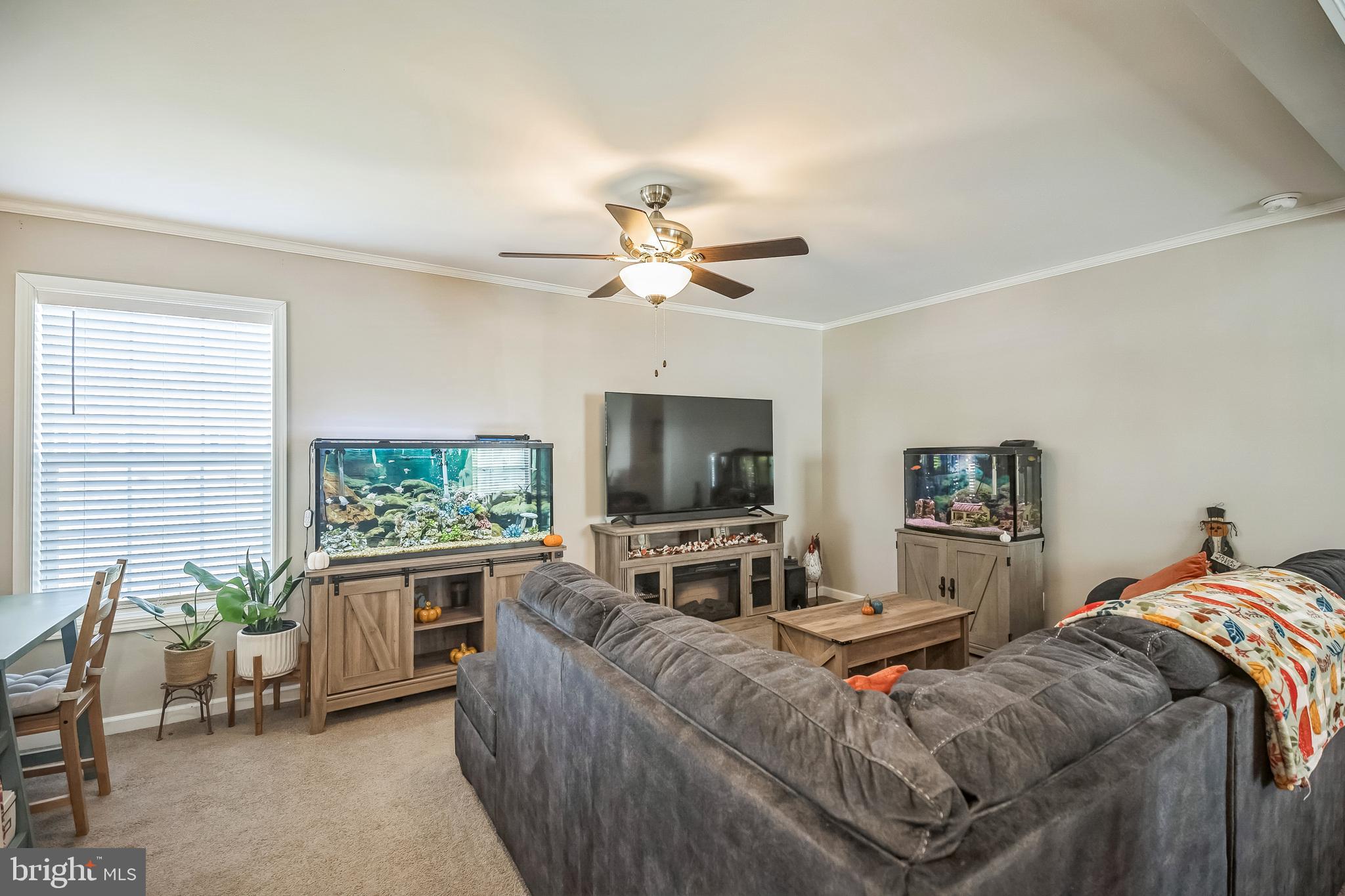 106 CONESTOGA DRIVE