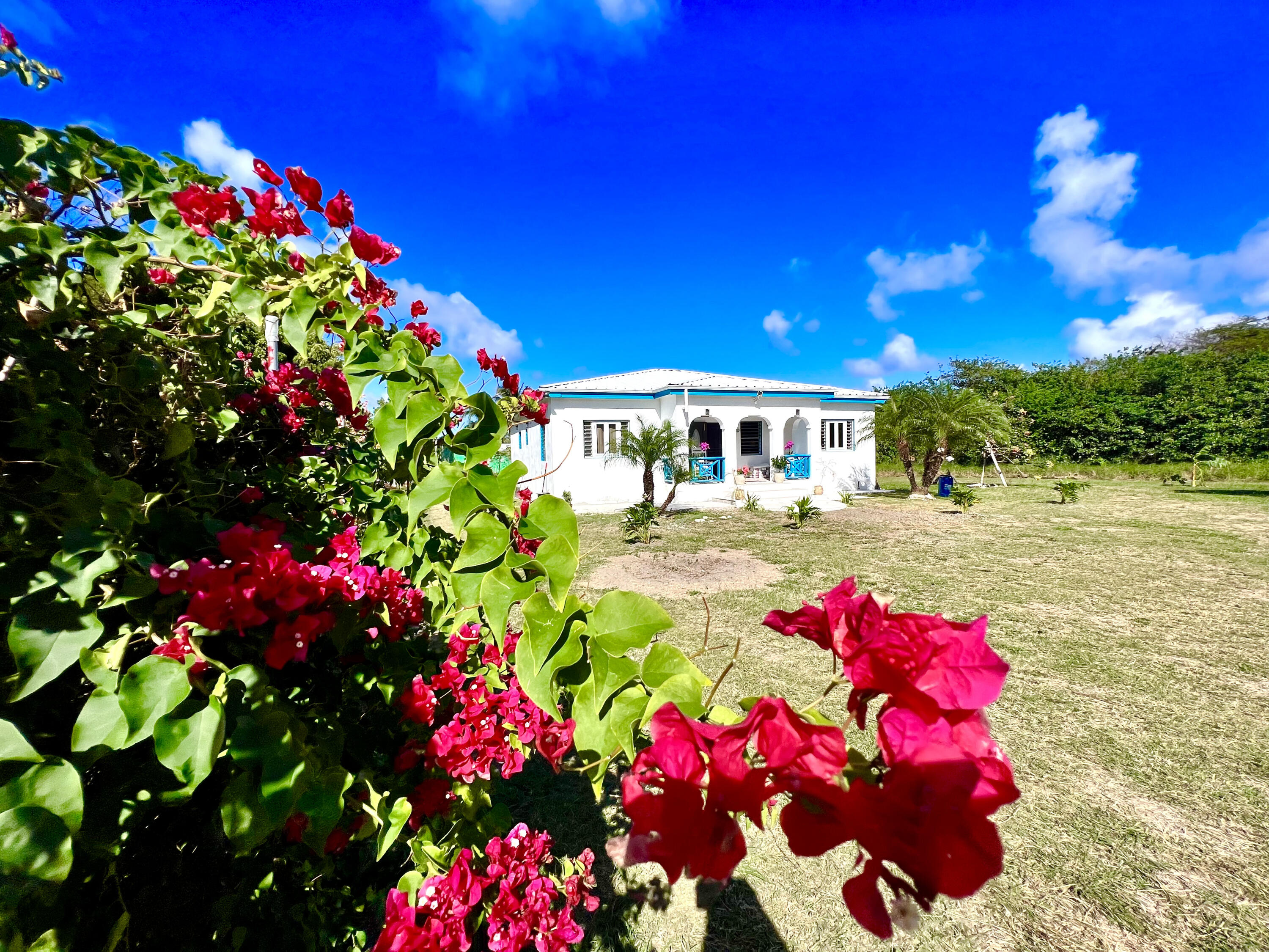 53 G La Grande Princesse CO, St. Croix