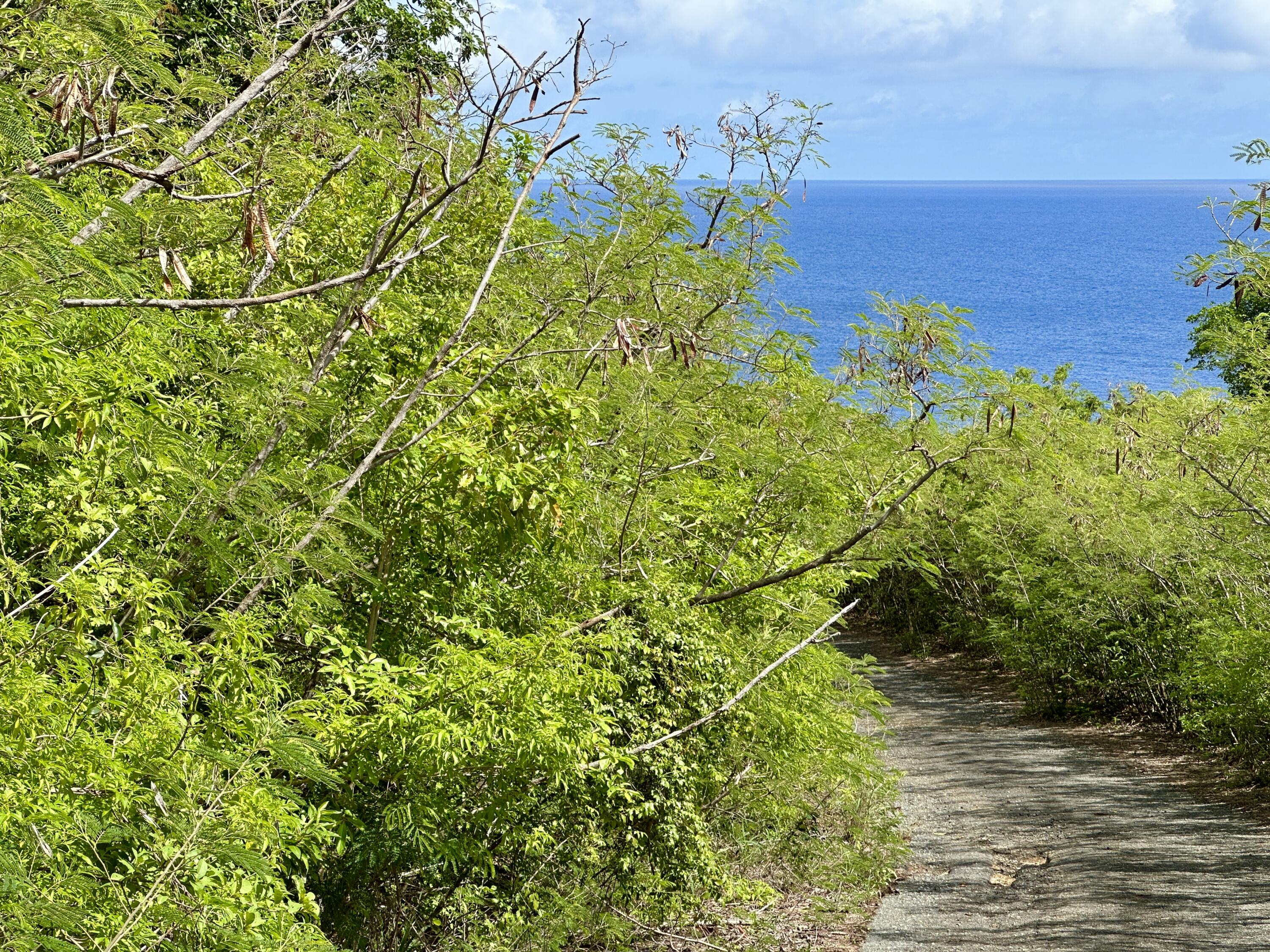 17 Hams Bay NA, 17, St. Croix Unit: 17
