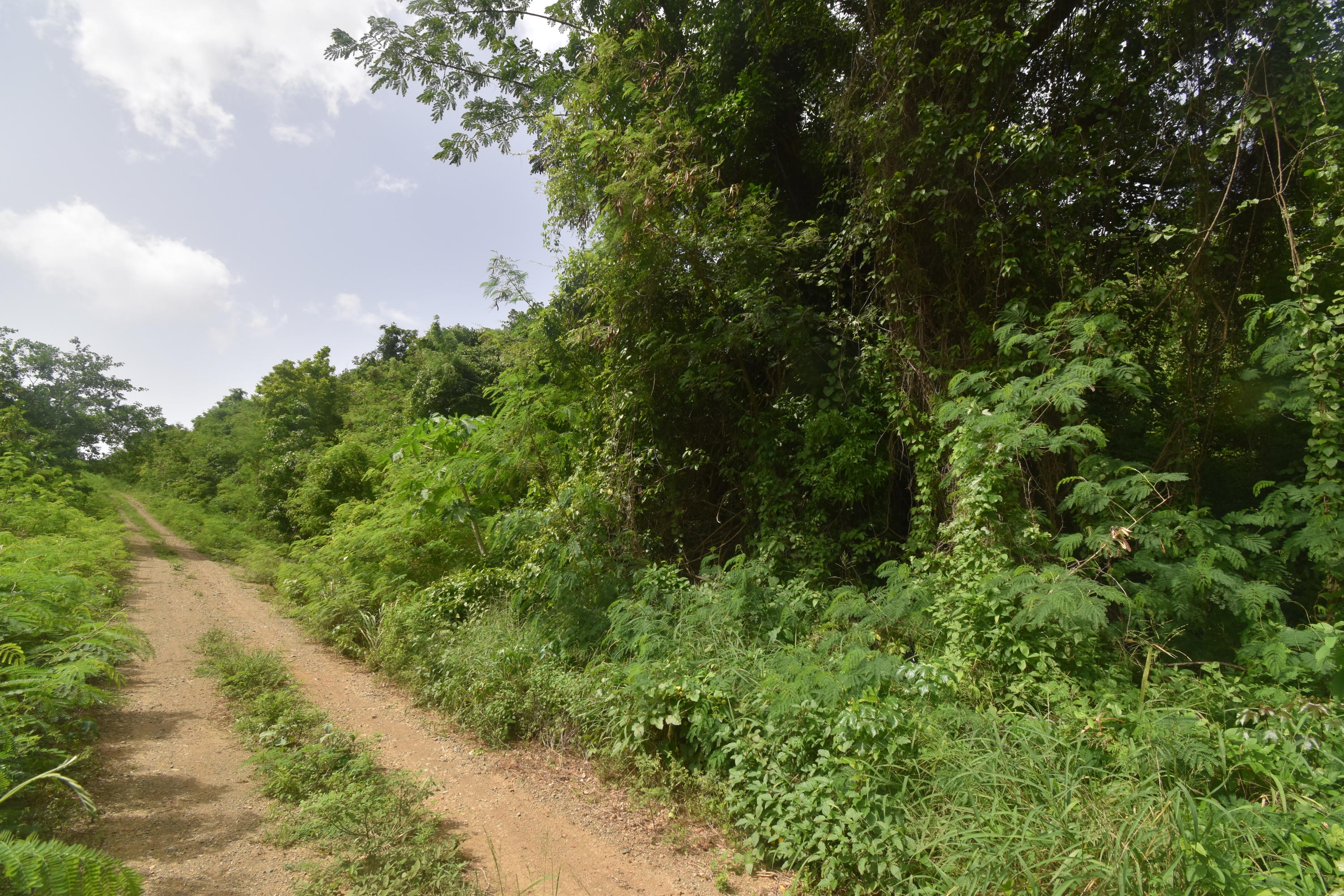 17 Hams Bay NA, 17, St. Croix Unit: 17