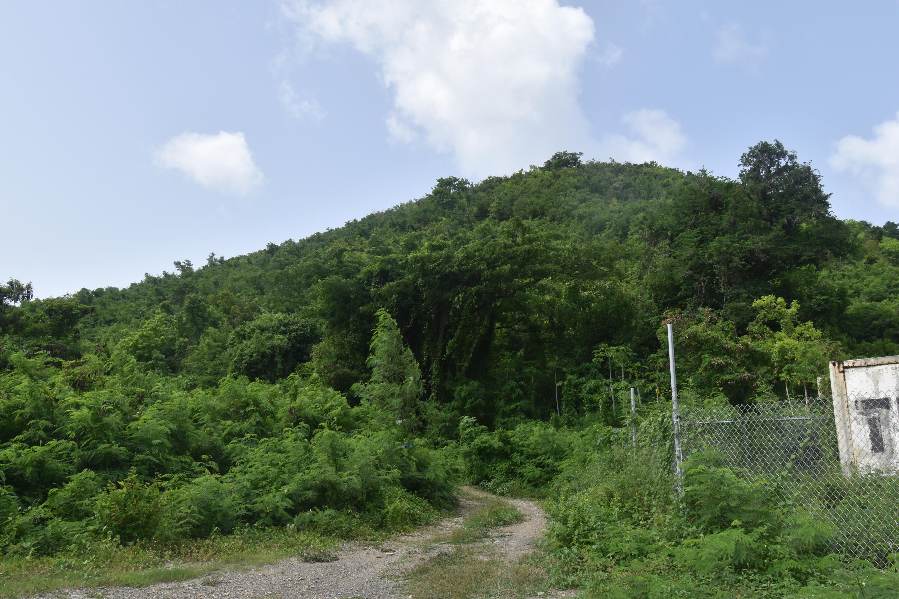 17 Hams Bay NA, 17, St. Croix Unit: 17