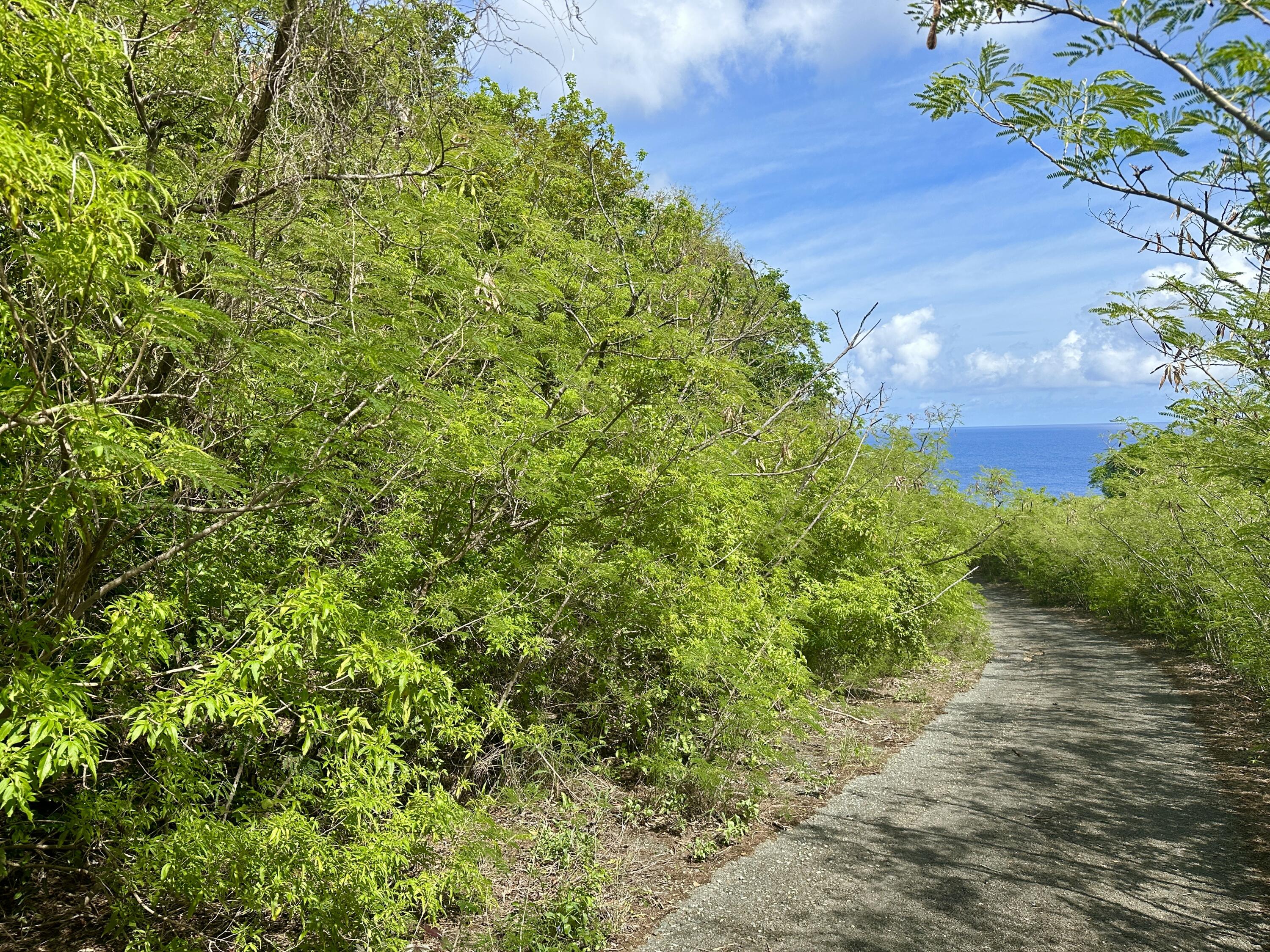 17 Hams Bay NA, 17, St. Croix Unit: 17