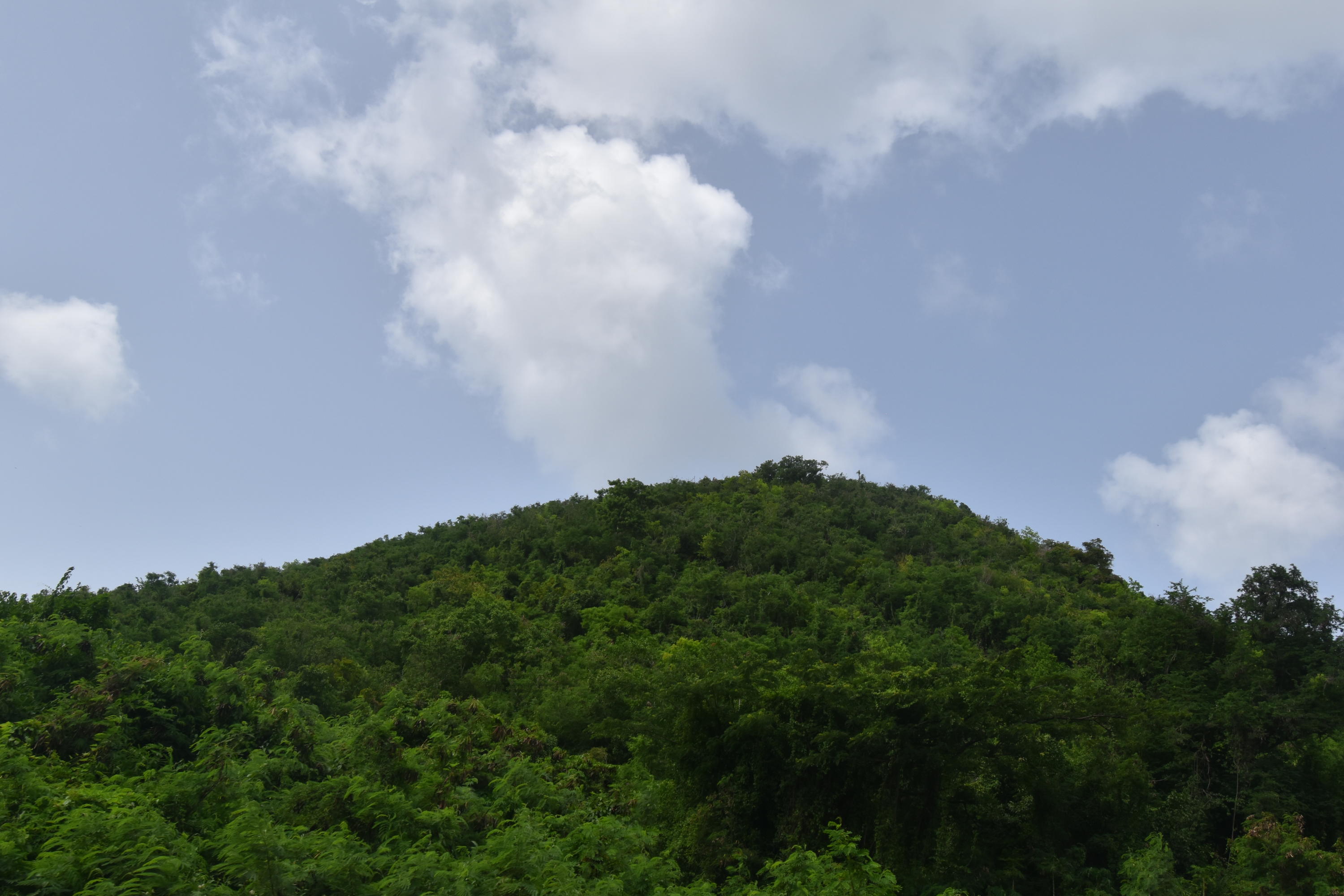 17 Hams Bay NA, 17, St. Croix Unit: 17