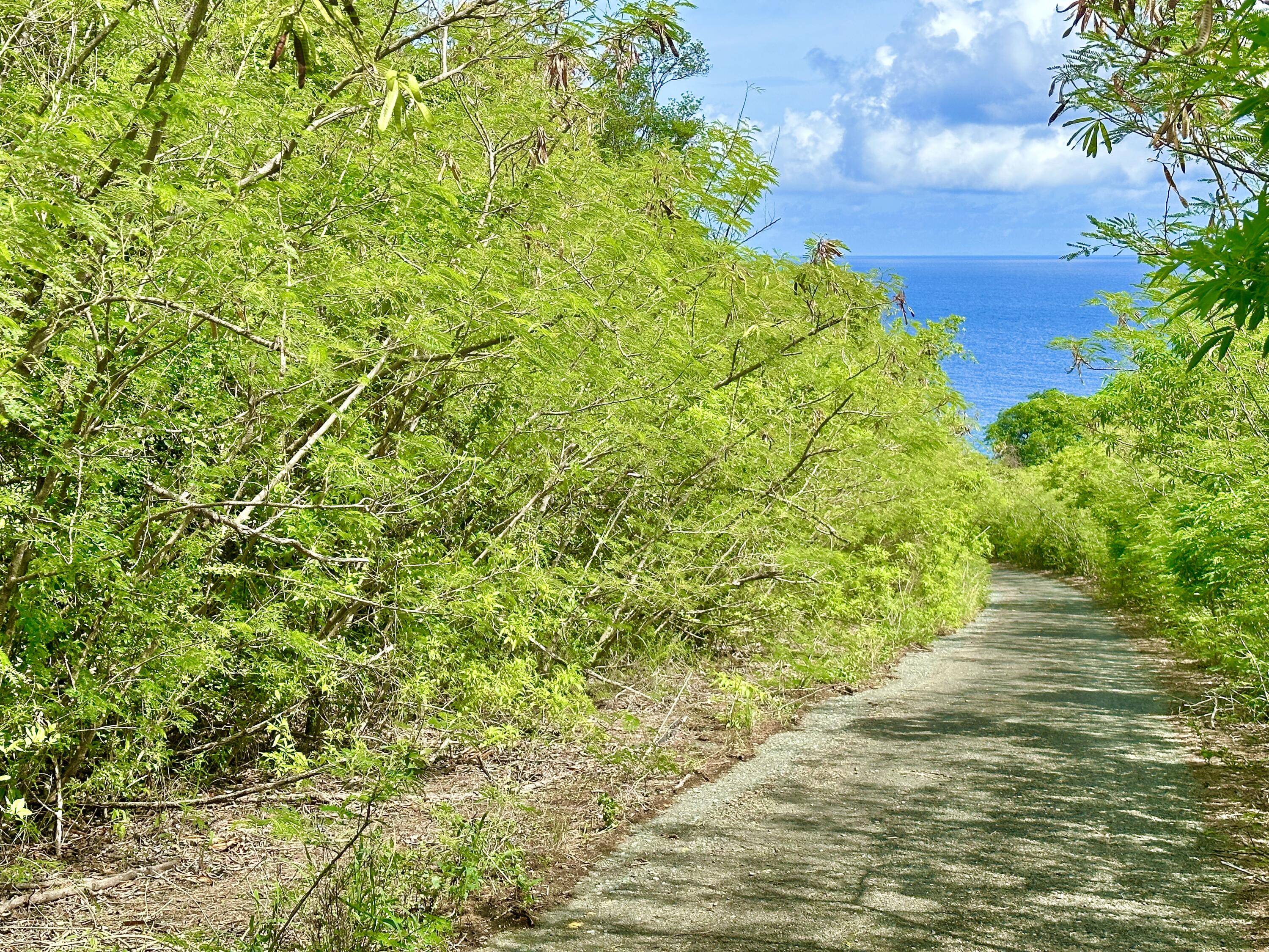 17 Hams Bay NA, 17, St. Croix Unit: 17