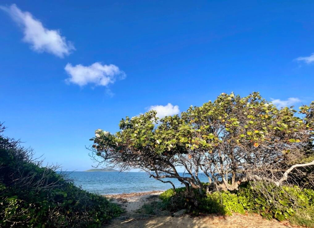 147 Green Cay EA, 147, St. Croix Unit: 147