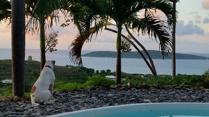 118 Hope & Carton H EB, 118, St. Croix Unit: 118