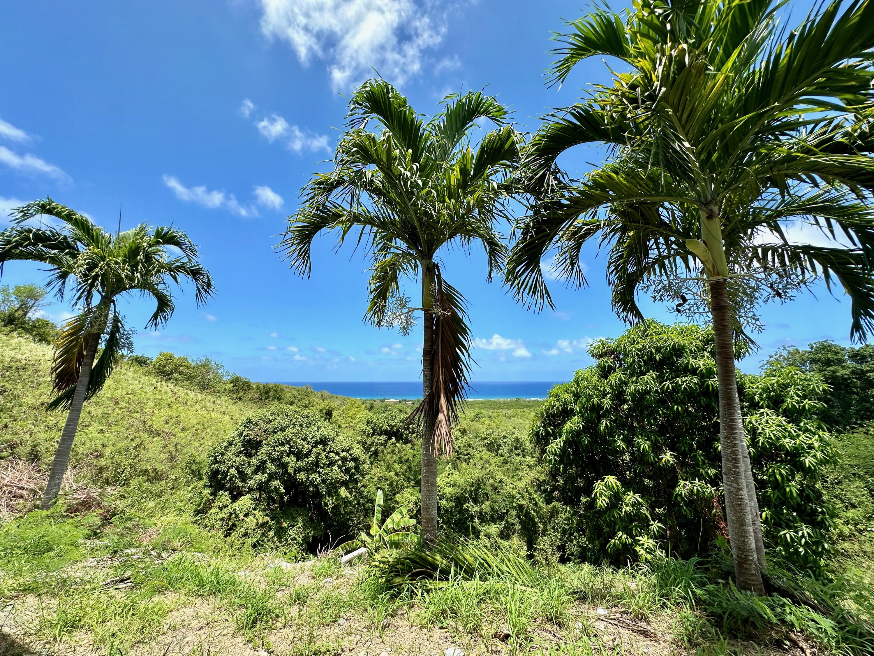 15-B Rust-Op-Twist NB, 15-B, St. Croix Unit: 15-B