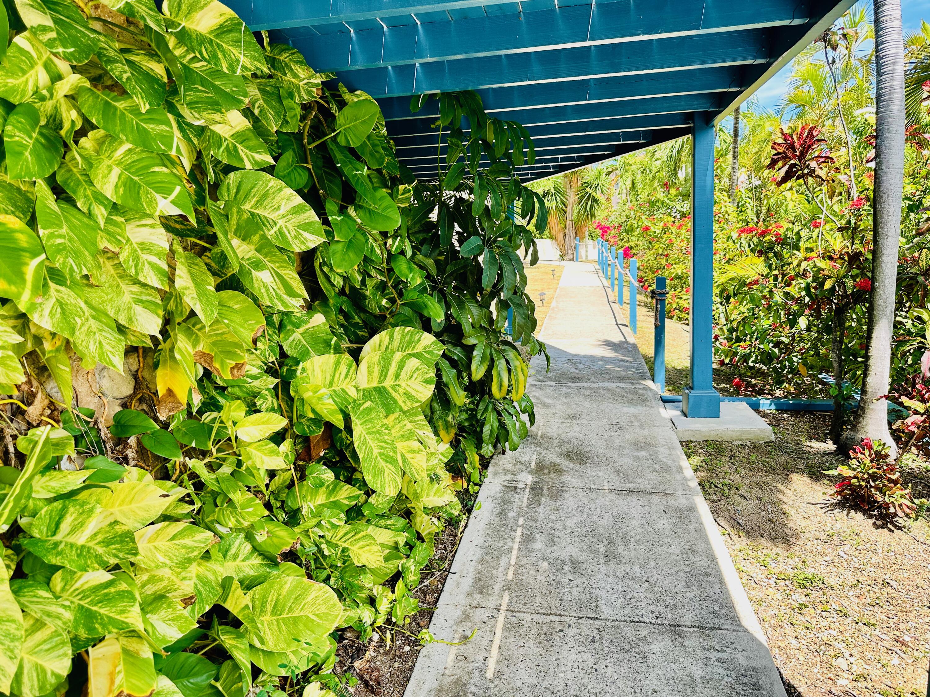 79 Orange Grove CO, Long Reef, St. Croix Unit: 79