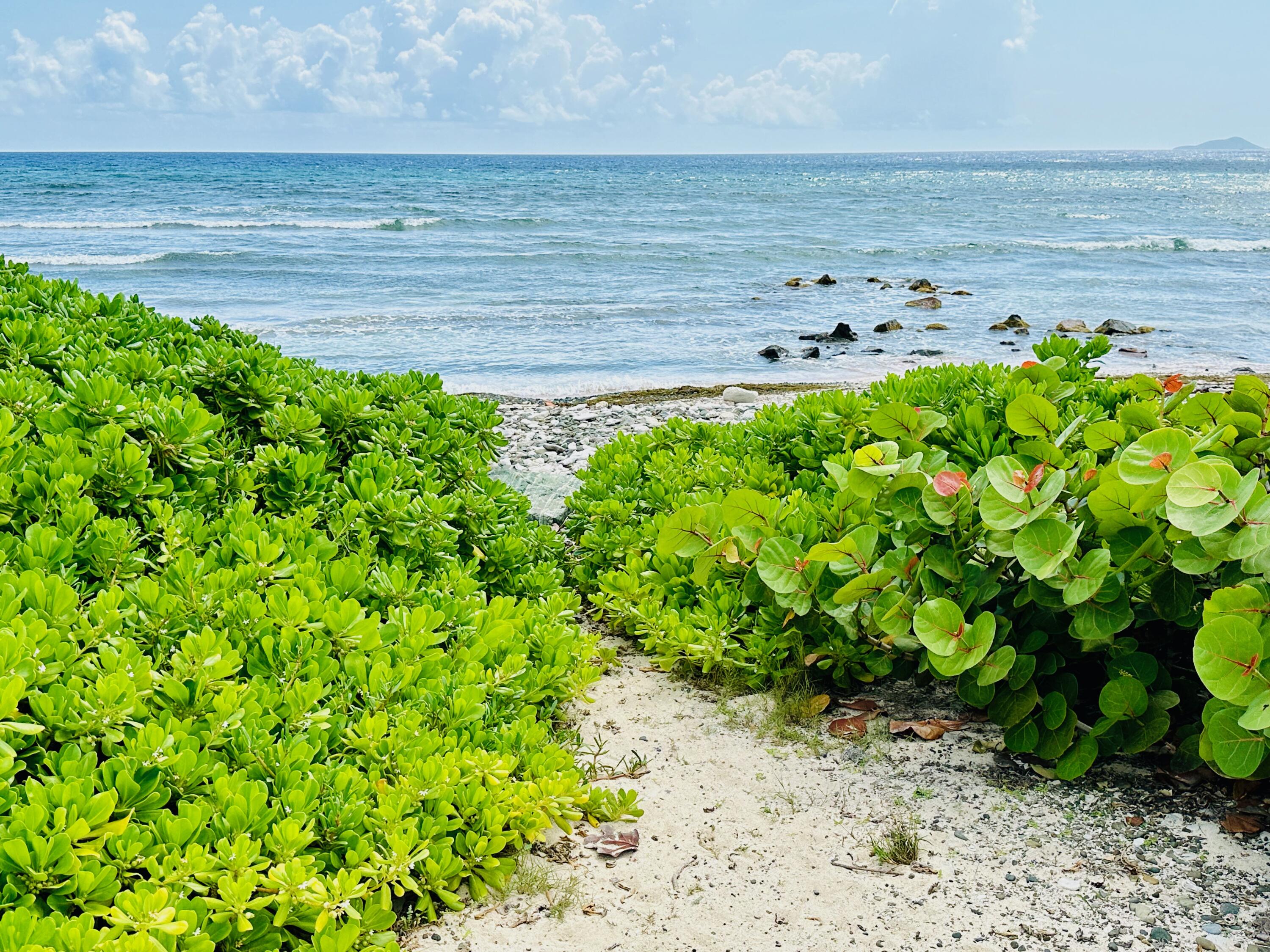 210 La Grande Princesse QU, Granada Del Mar, St. Croix Unit: 210