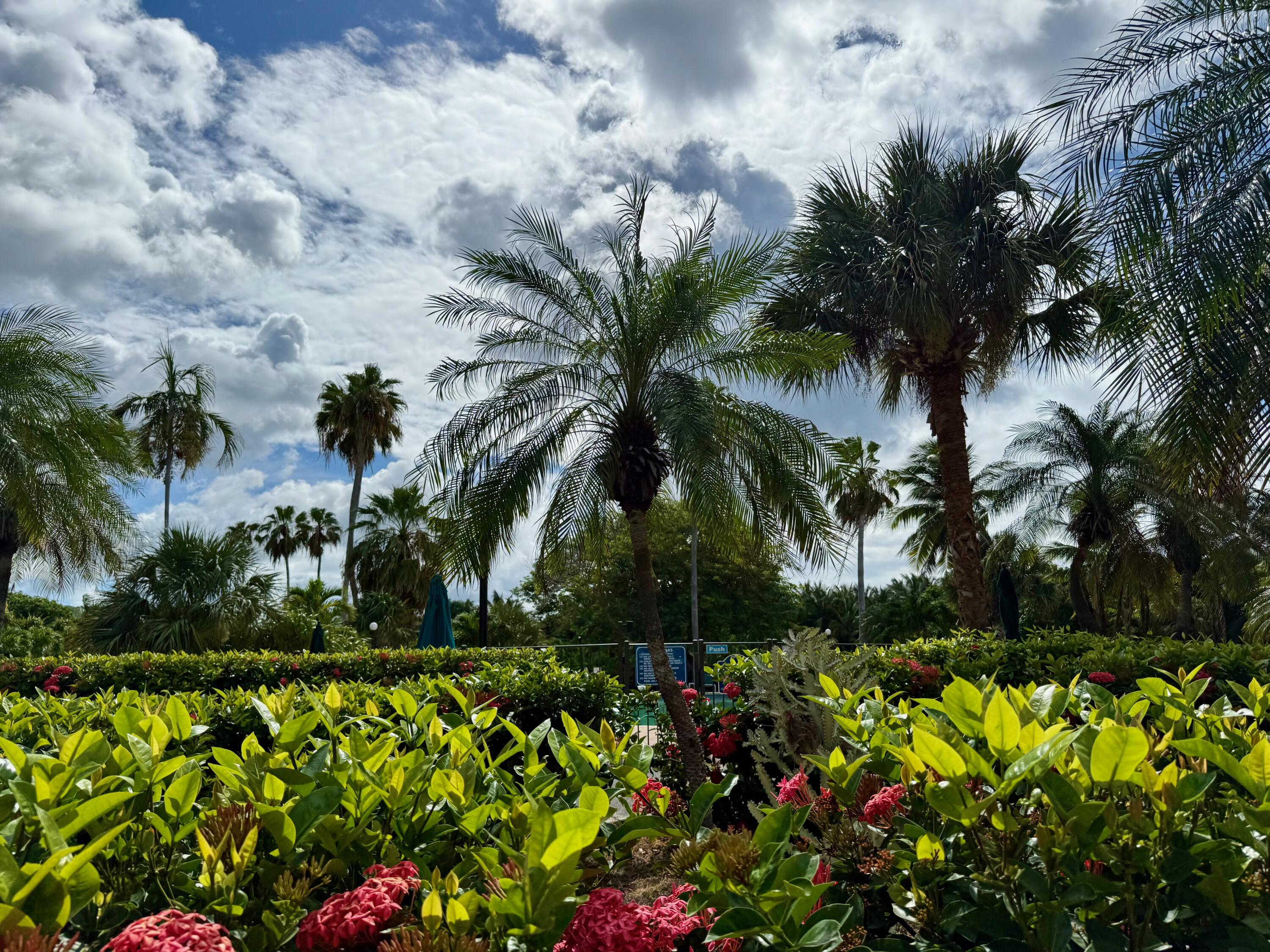 303 La Grande Princesse CO, Pelican Cove, St. Croix