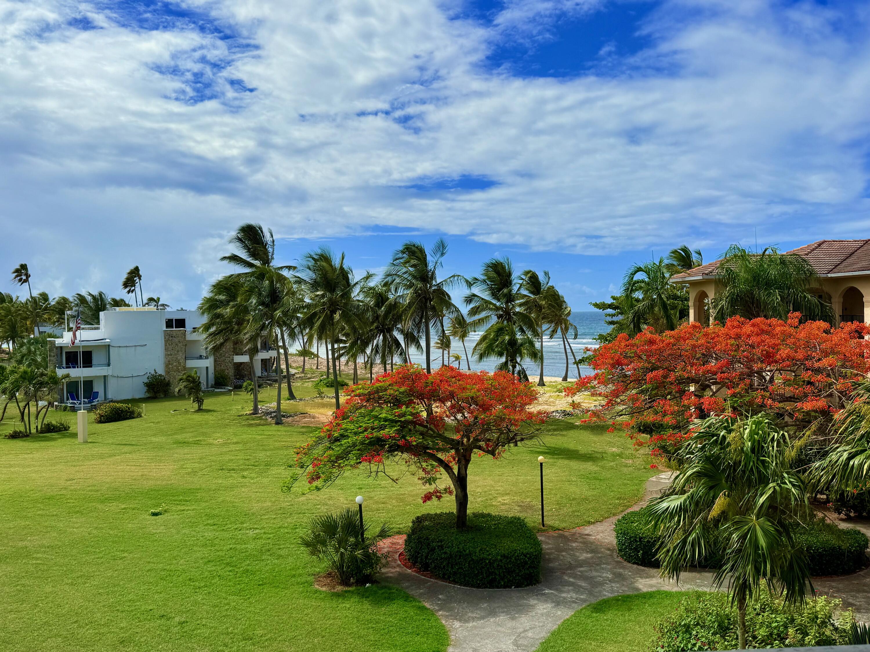 303 La Grande Princesse CO, Pelican Cove, St. Croix