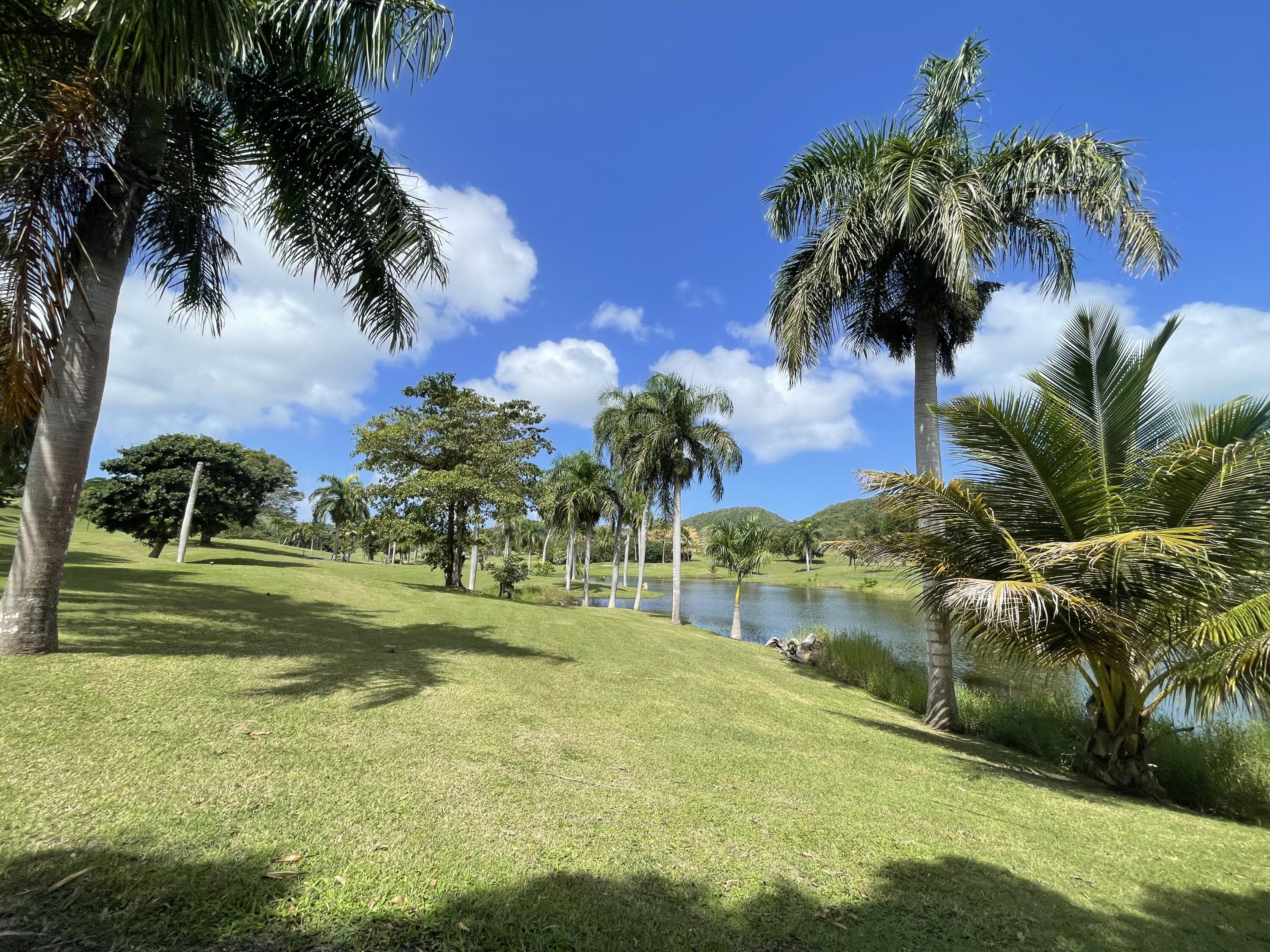D Fountain NA, Sweet Lime II, St. Croix