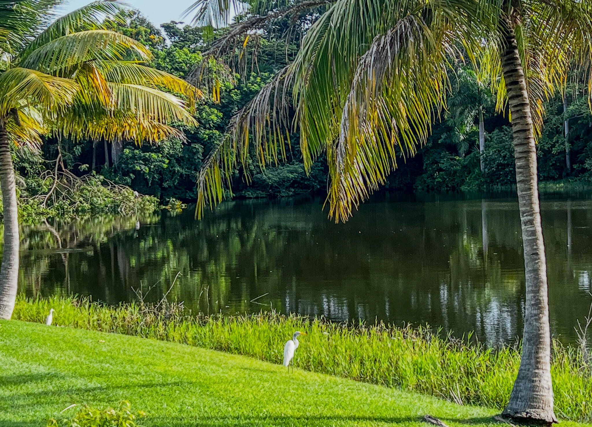 D Fountain NA, Sweet Lime II, St. Croix