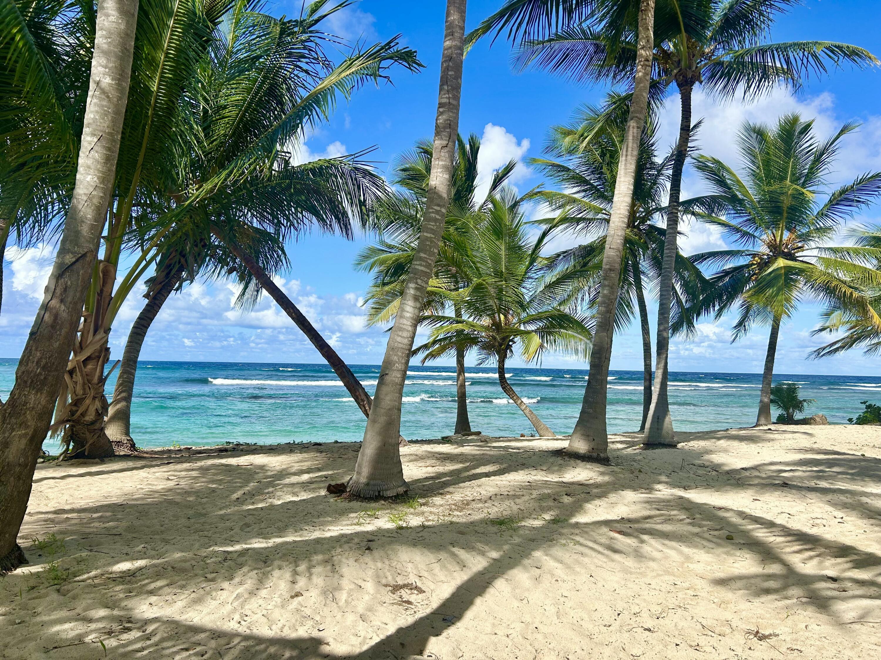 201 E La Grande Princesse CO, Pelican Cove, St. Croix