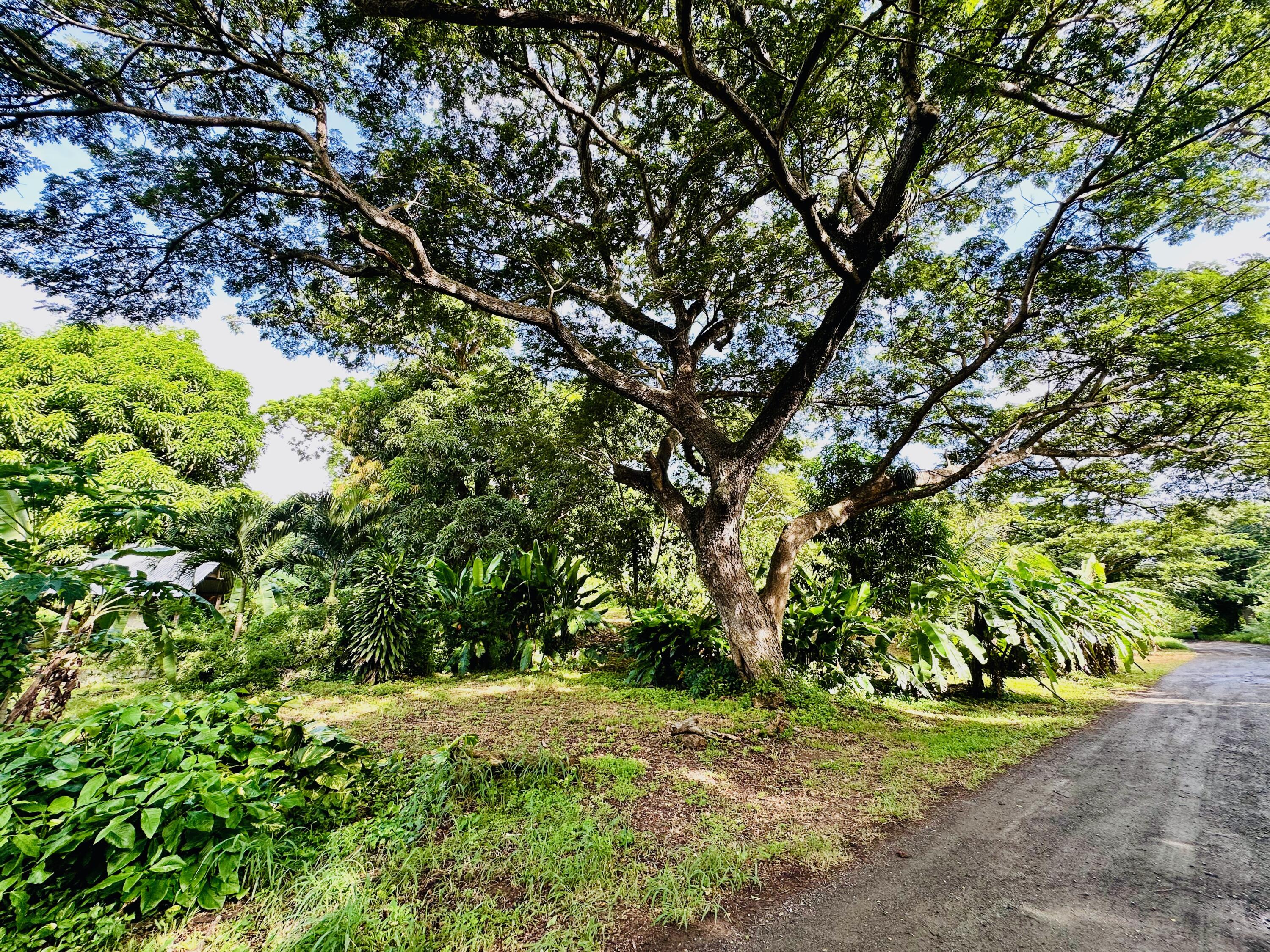 2 & 8A-1 Little La Grange WE, St. Croix