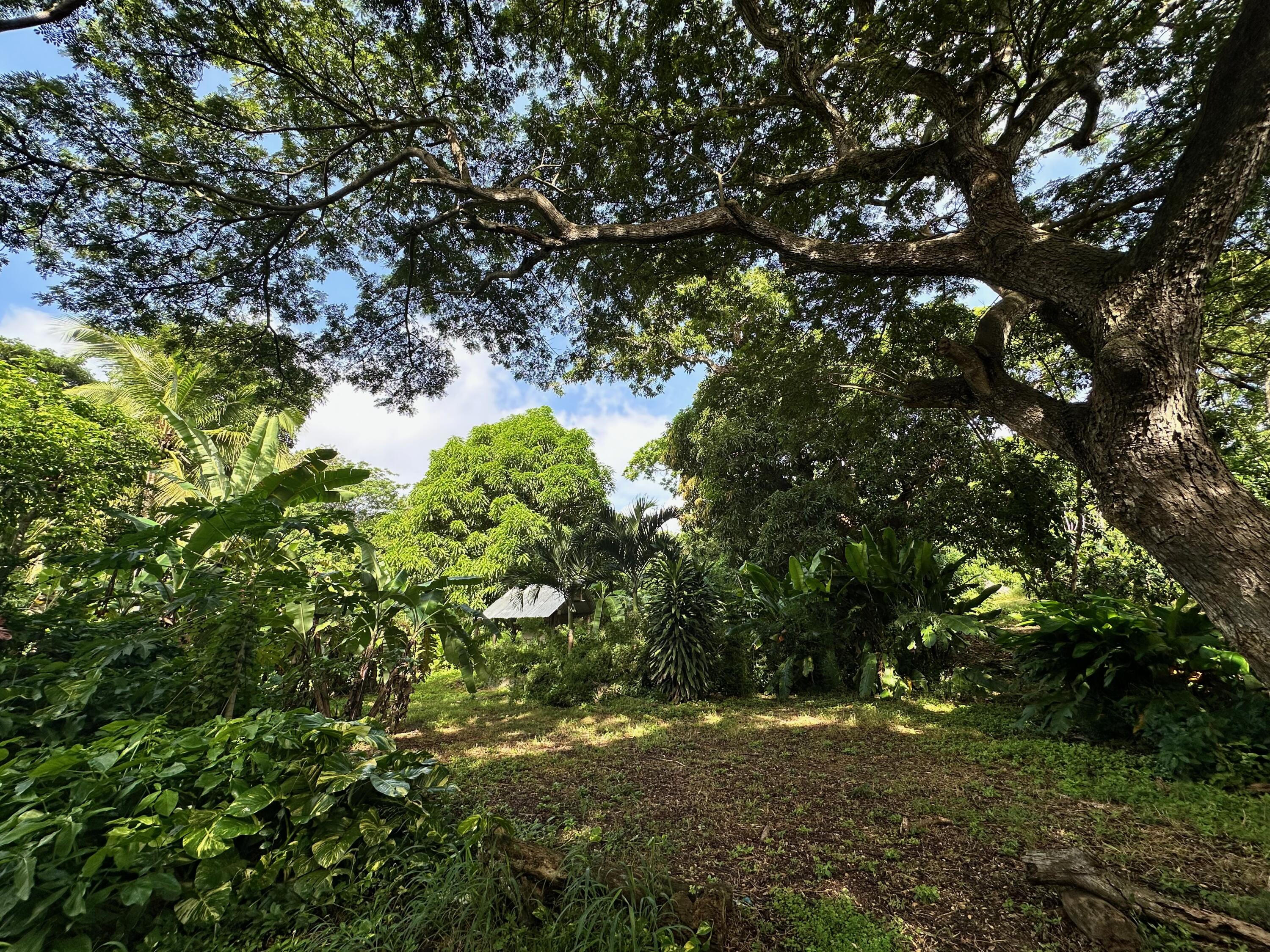 2 & 8A-1 Little La Grange WE, St. Croix