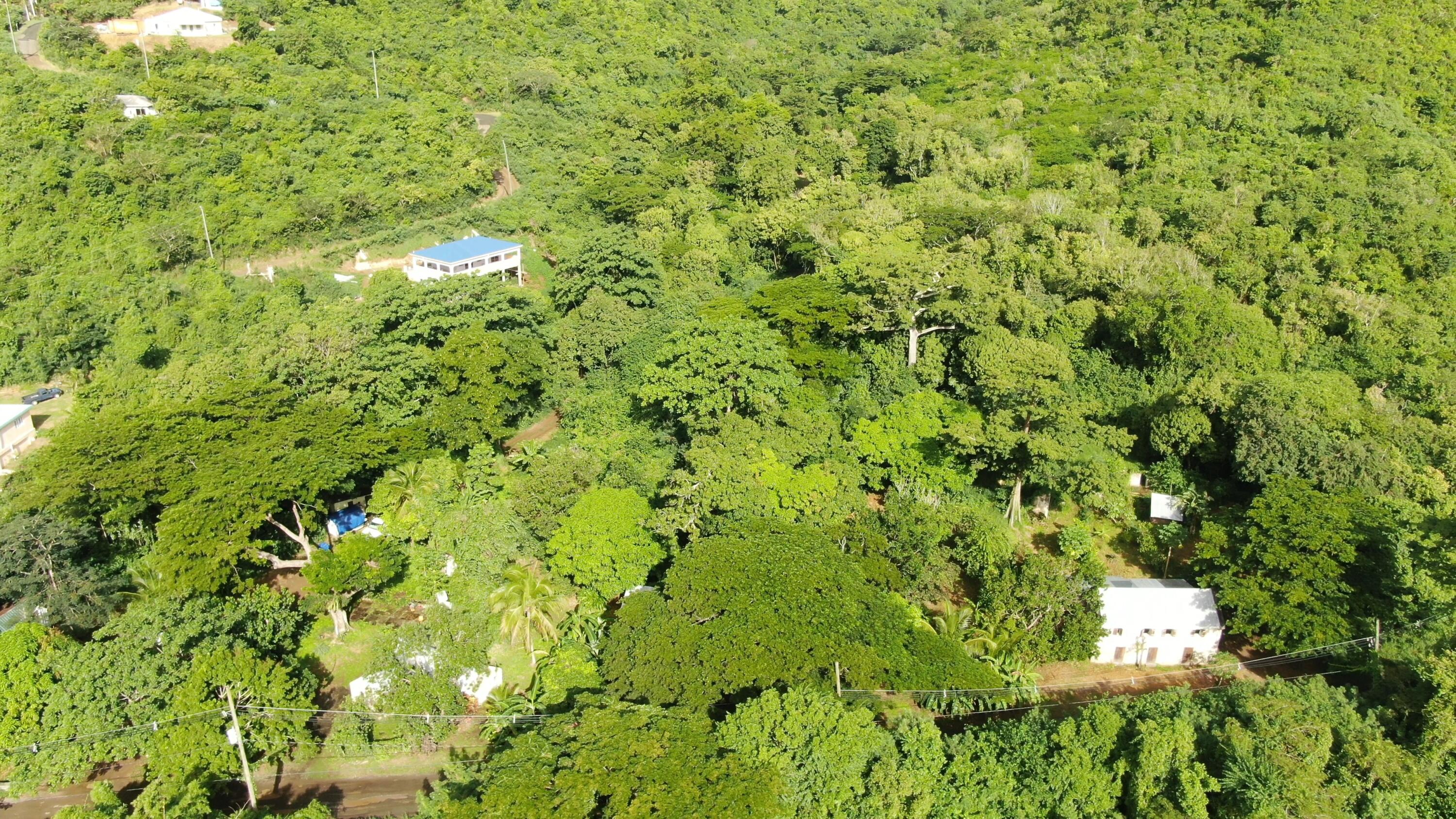 2 & 8A-1 Little La Grange WE, St. Croix