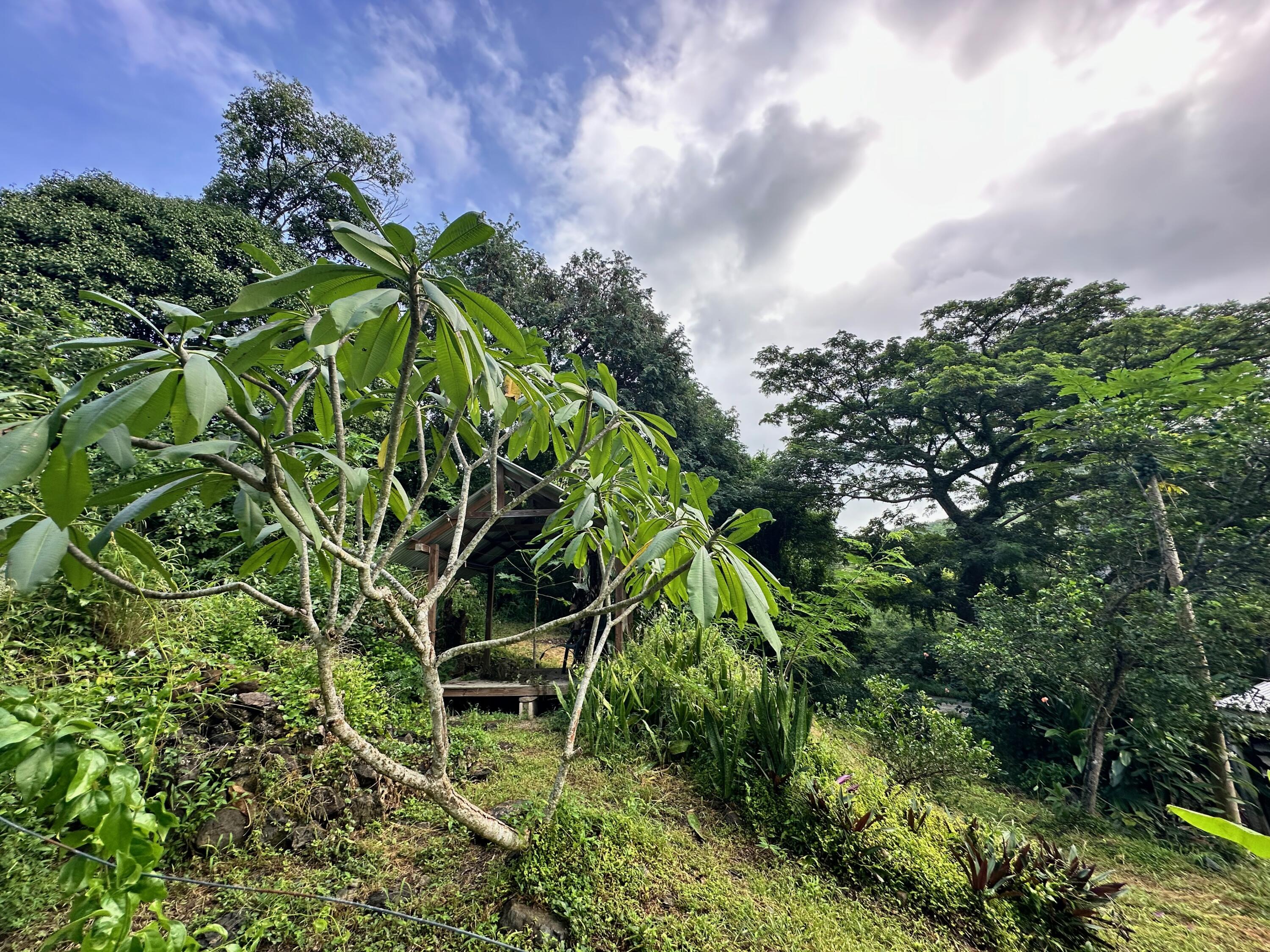 2 & 8A-1 Little La Grange WE, St. Croix