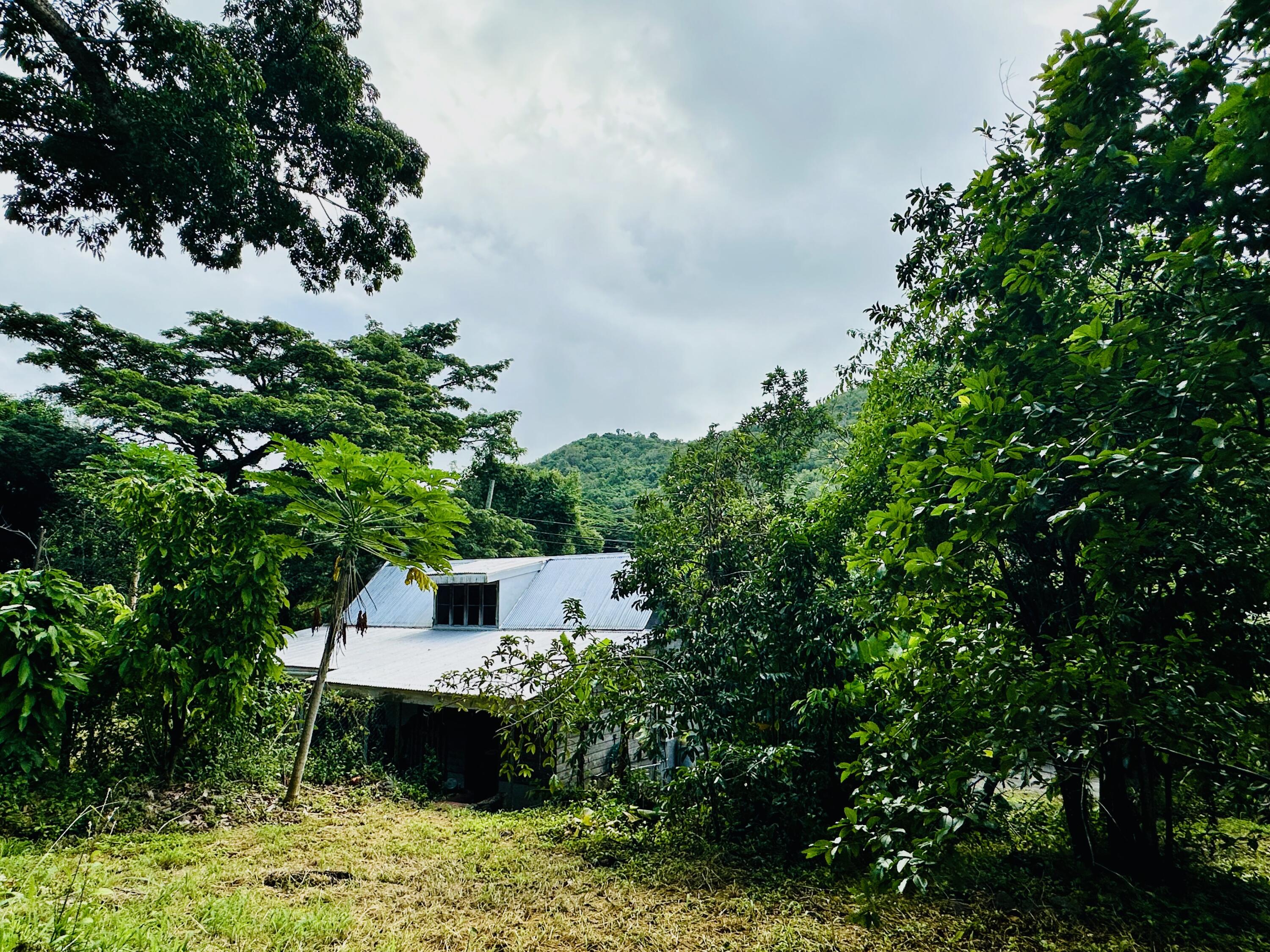 2 & 8A-1 Little La Grange WE, St. Croix