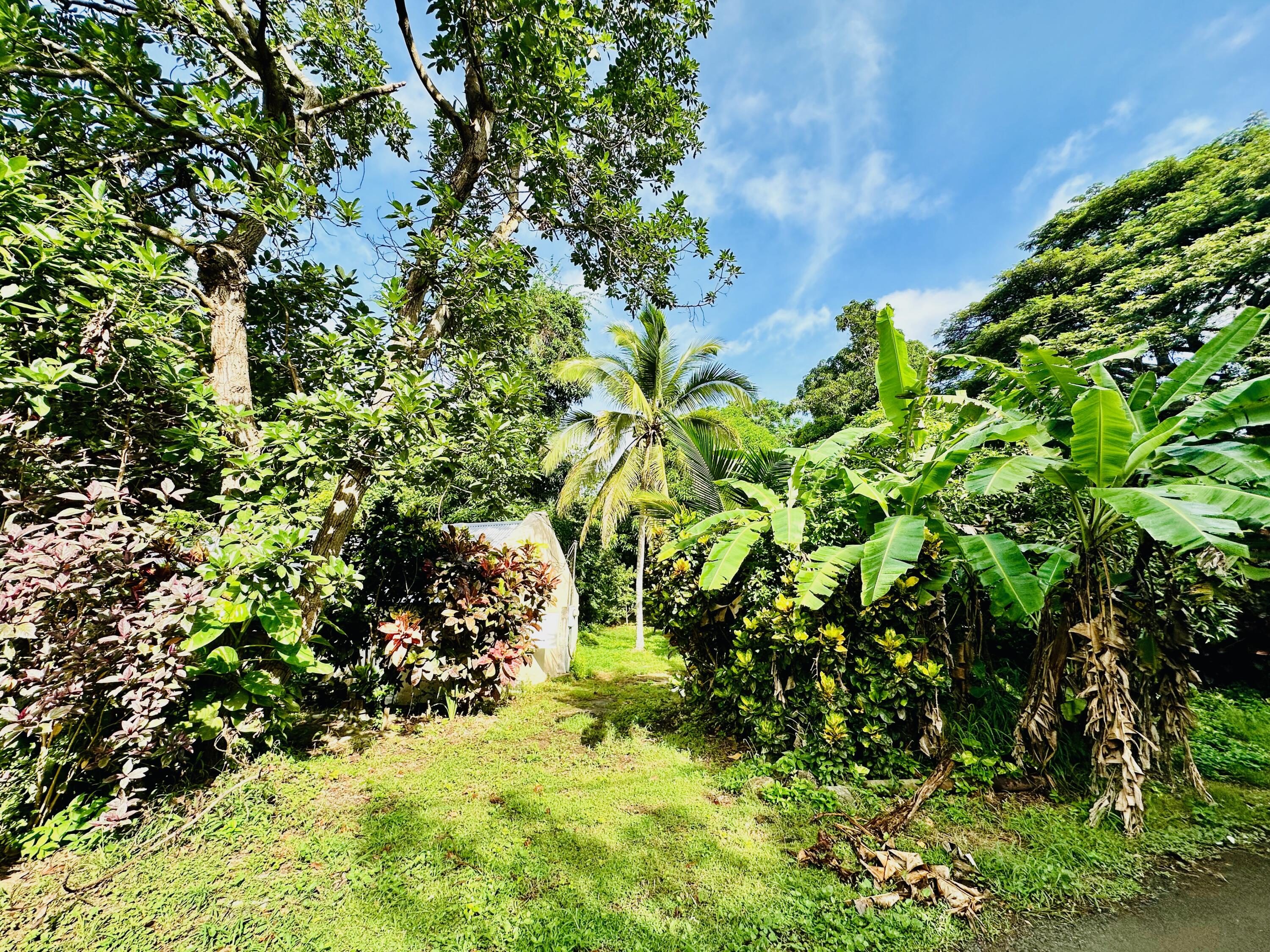 2 & 8A-1 Little La Grange WE, St. Croix