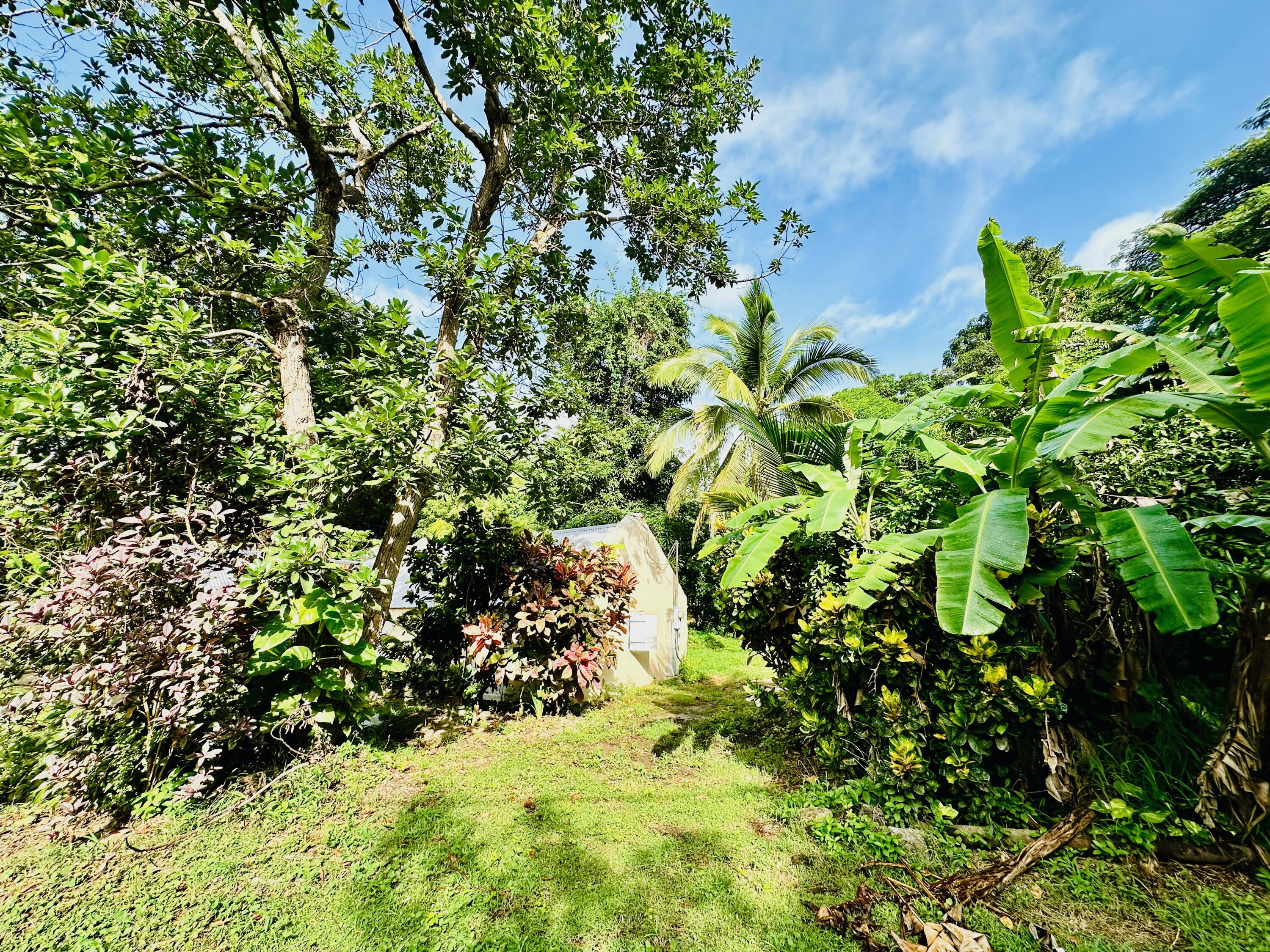 2 & 8A-1 Little La Grange WE, St. Croix