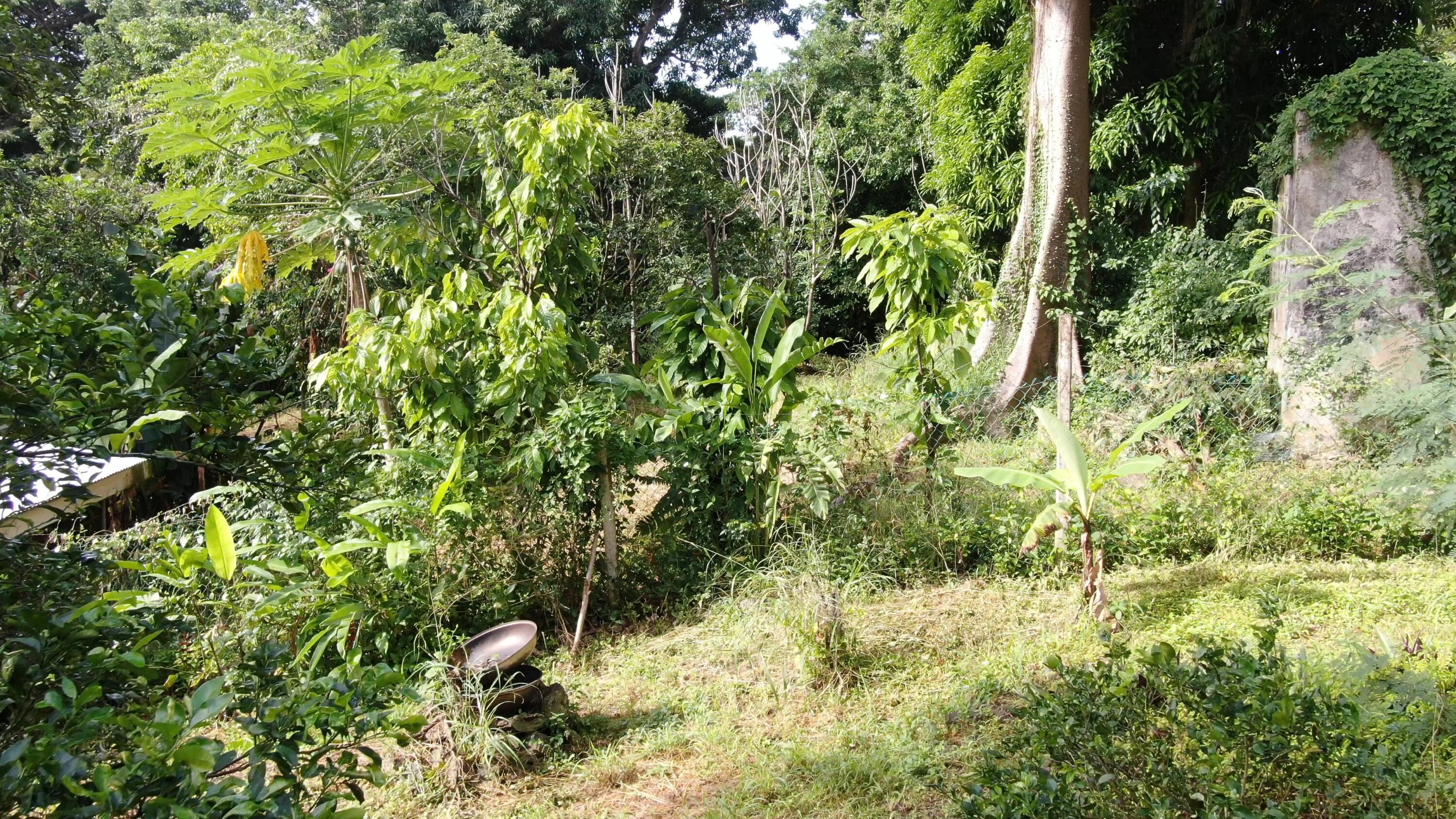 2 & 8A-1 Little La Grange WE, St. Croix