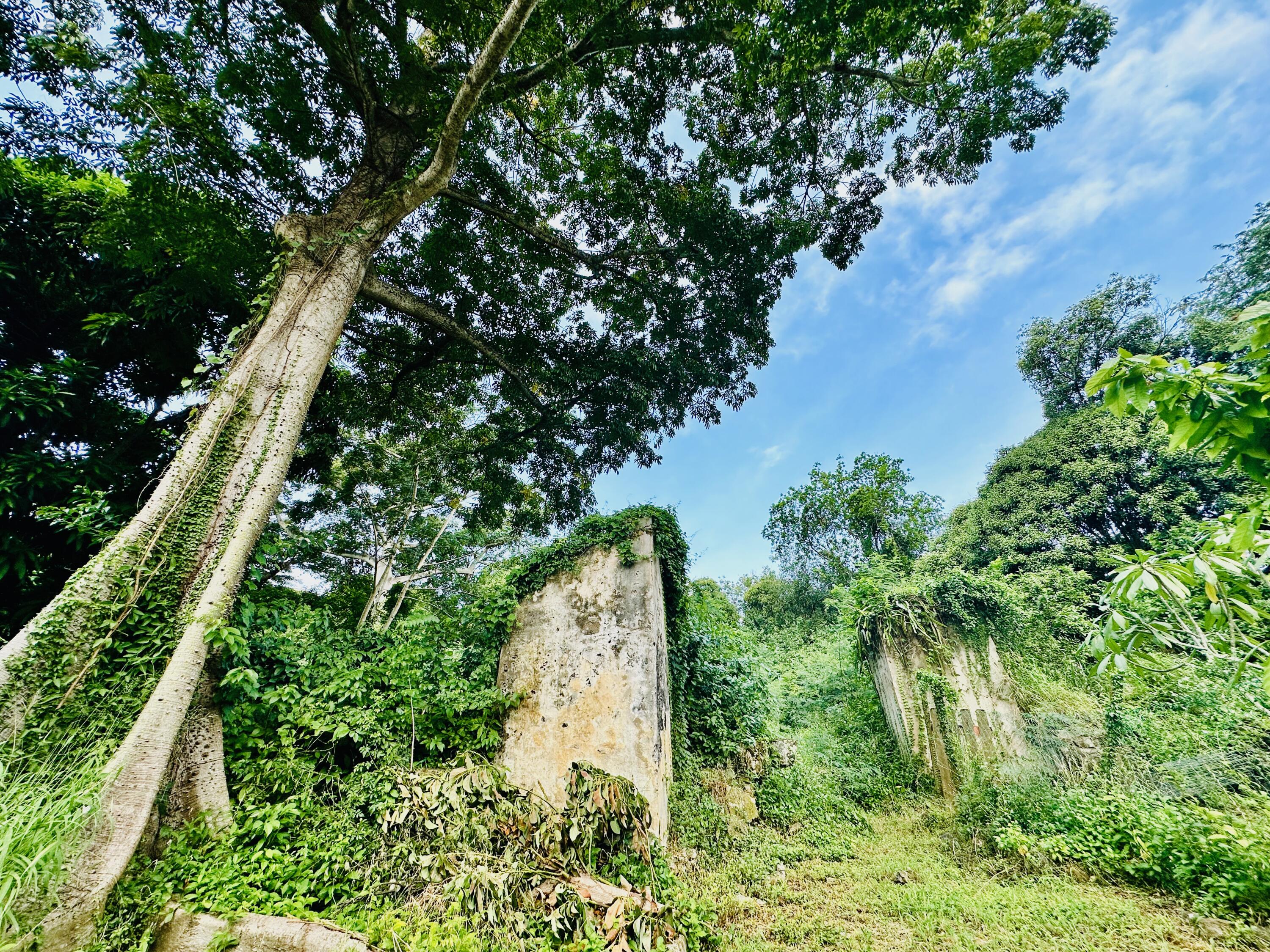 2 & 8A-1 Little La Grange WE, St. Croix