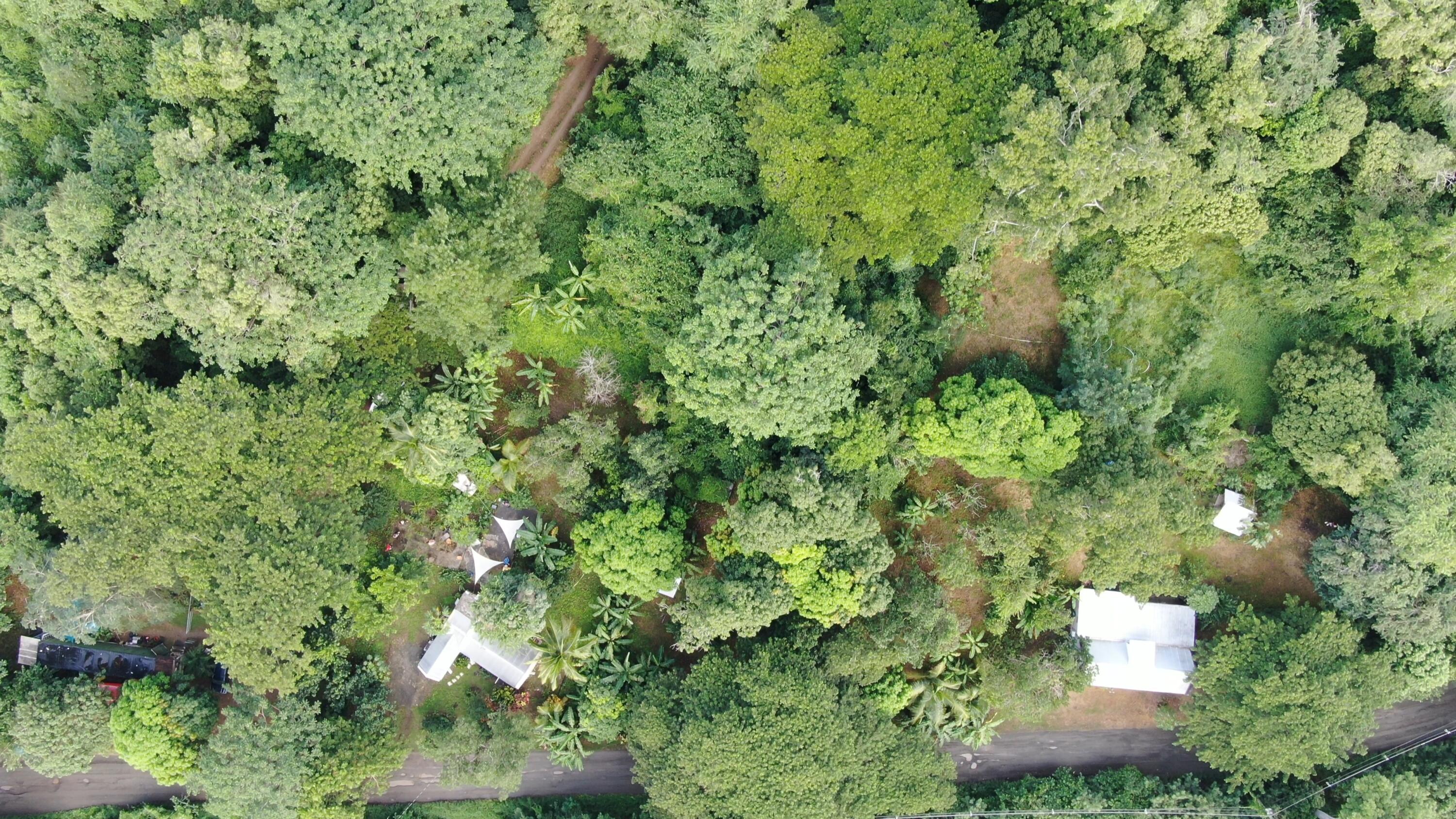 2 & 8A-1 Little La Grange WE, St. Croix