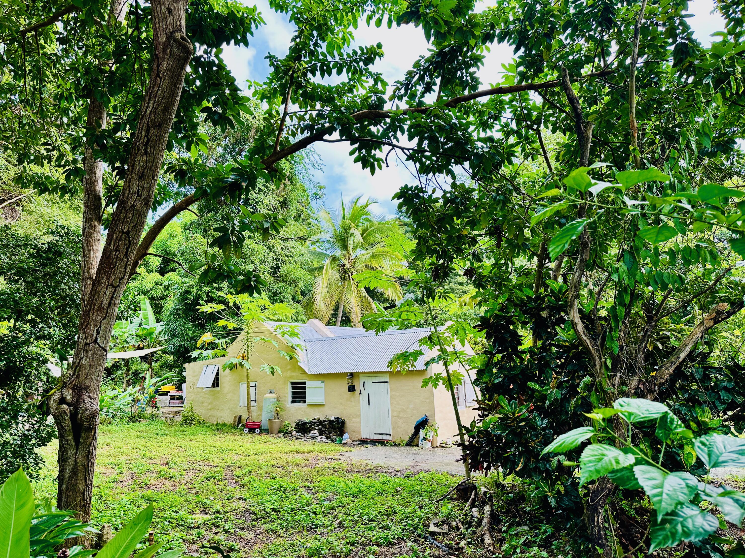 2 & 8A-1 Little La Grange WE, St. Croix