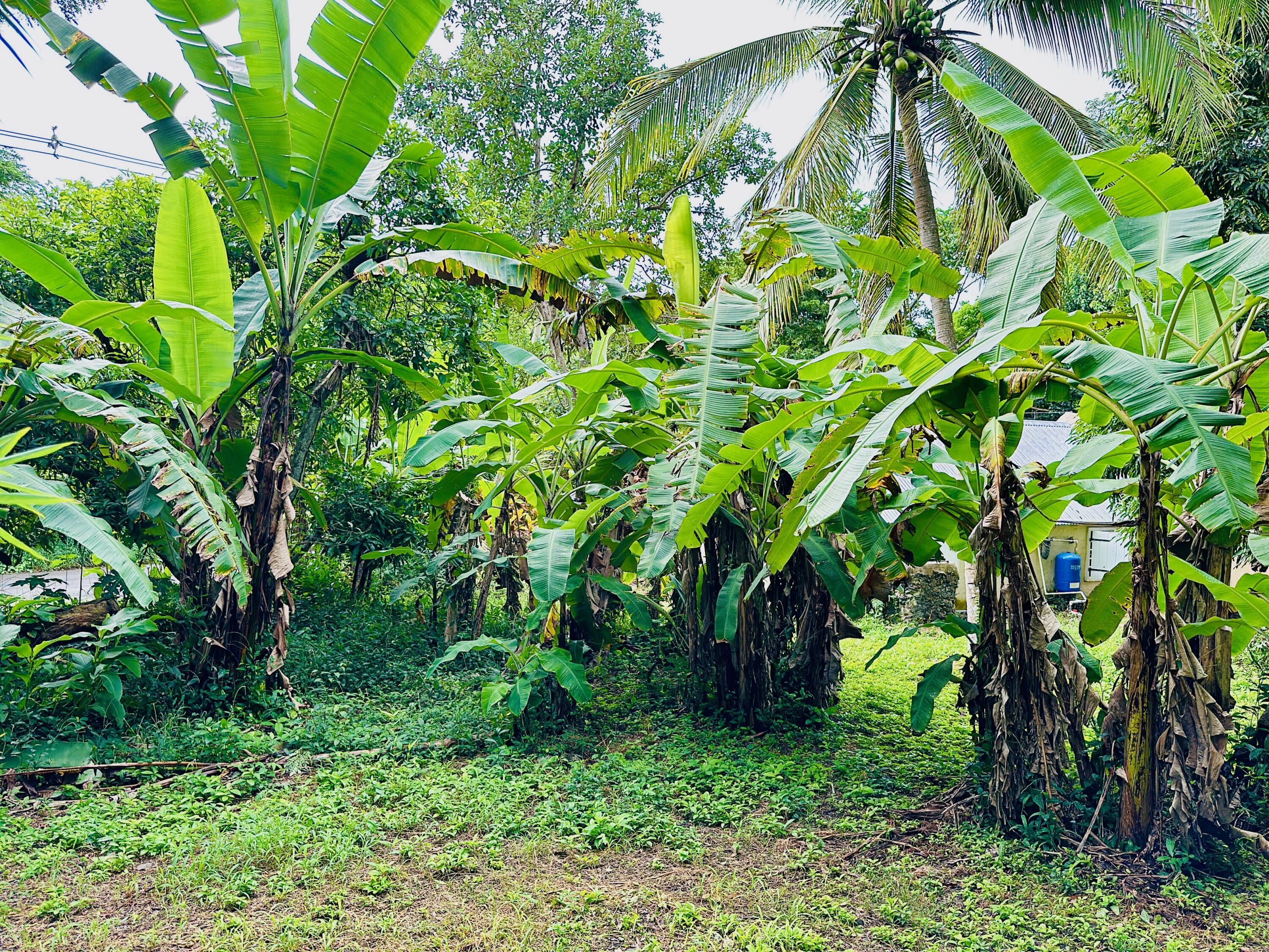 2 & 8A-1 Little La Grange WE, St. Croix