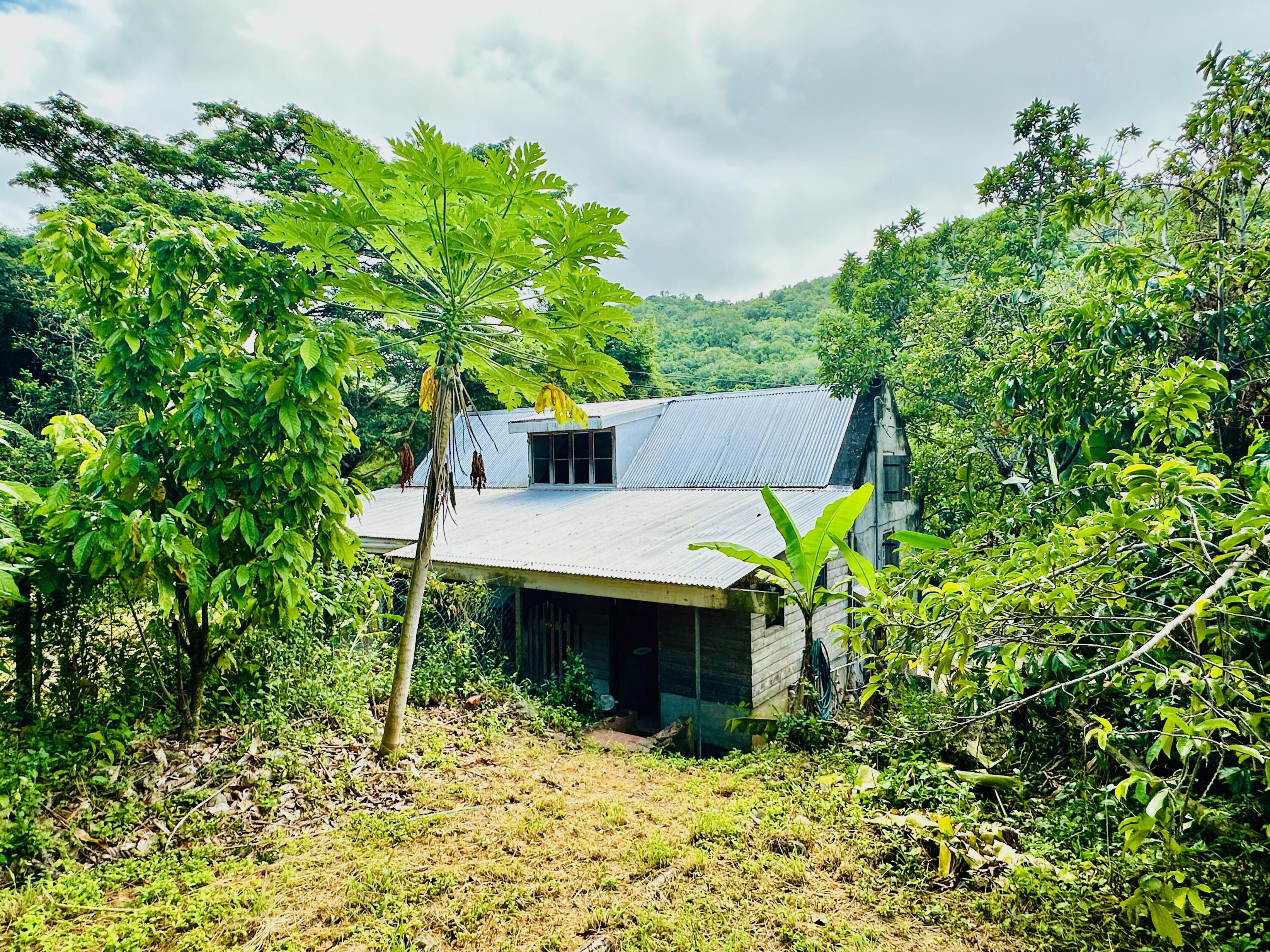 2 & 8A-1 Little La Grange WE, St. Croix