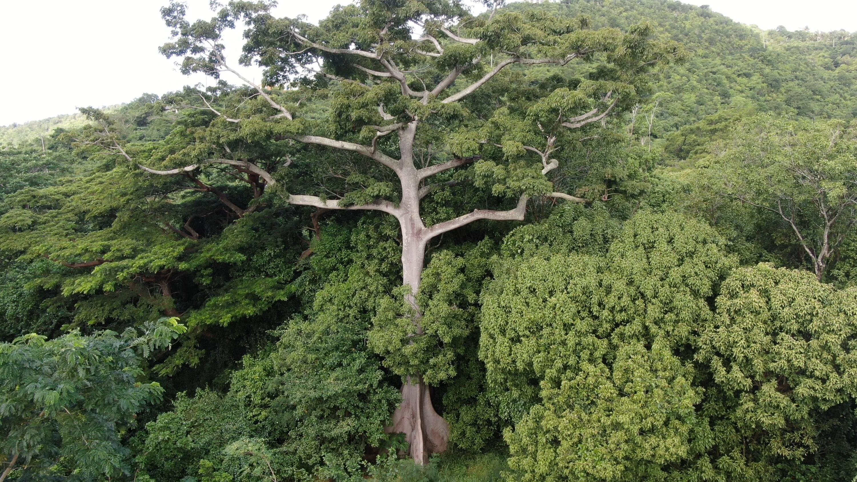 2 & 8A-1 Little La Grange WE, St. Croix