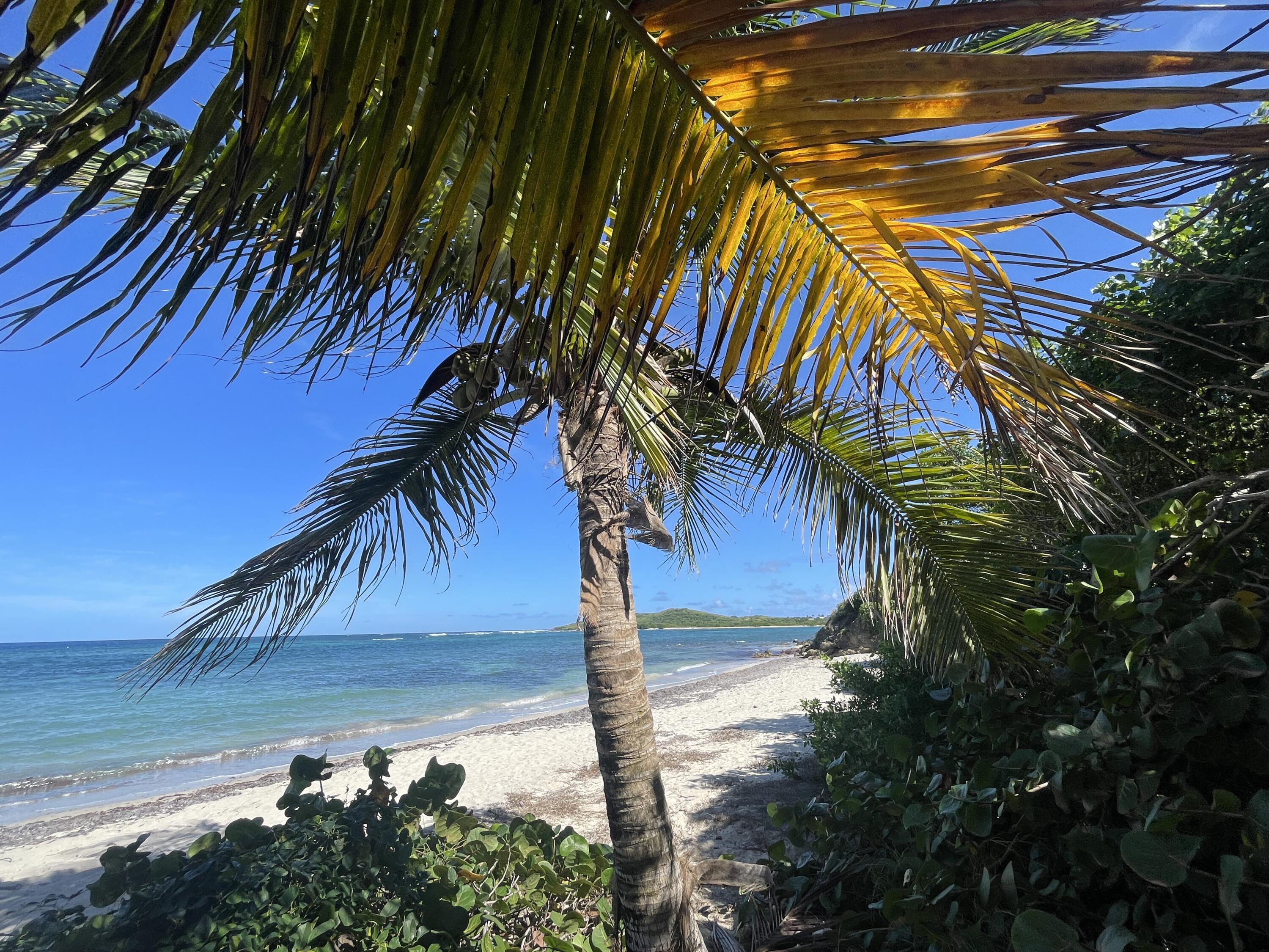 51 St. John QU, Vista Mar, St. Croix