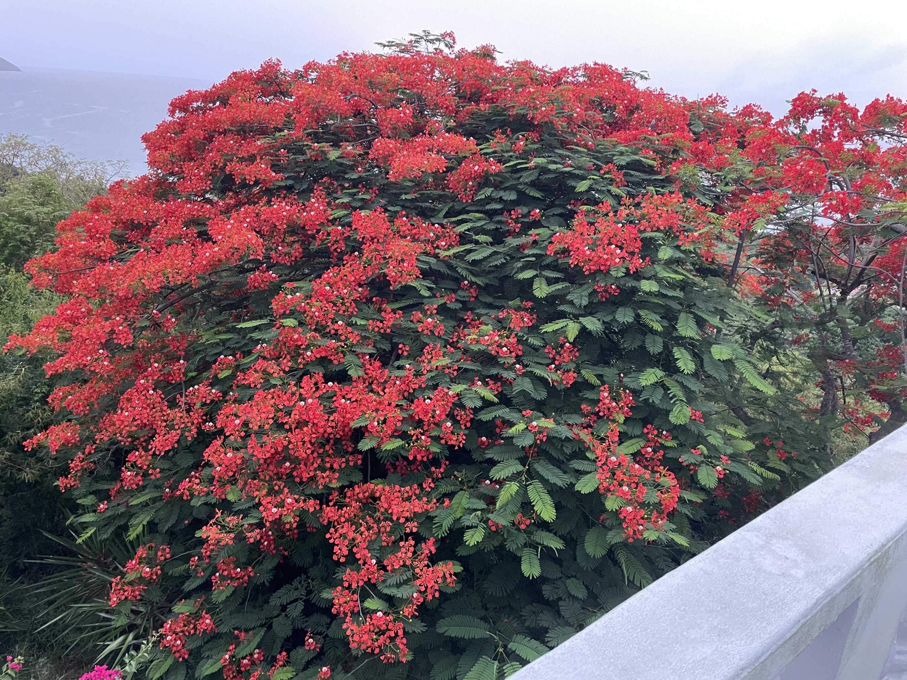 159 La Vallee NB, St. Croix