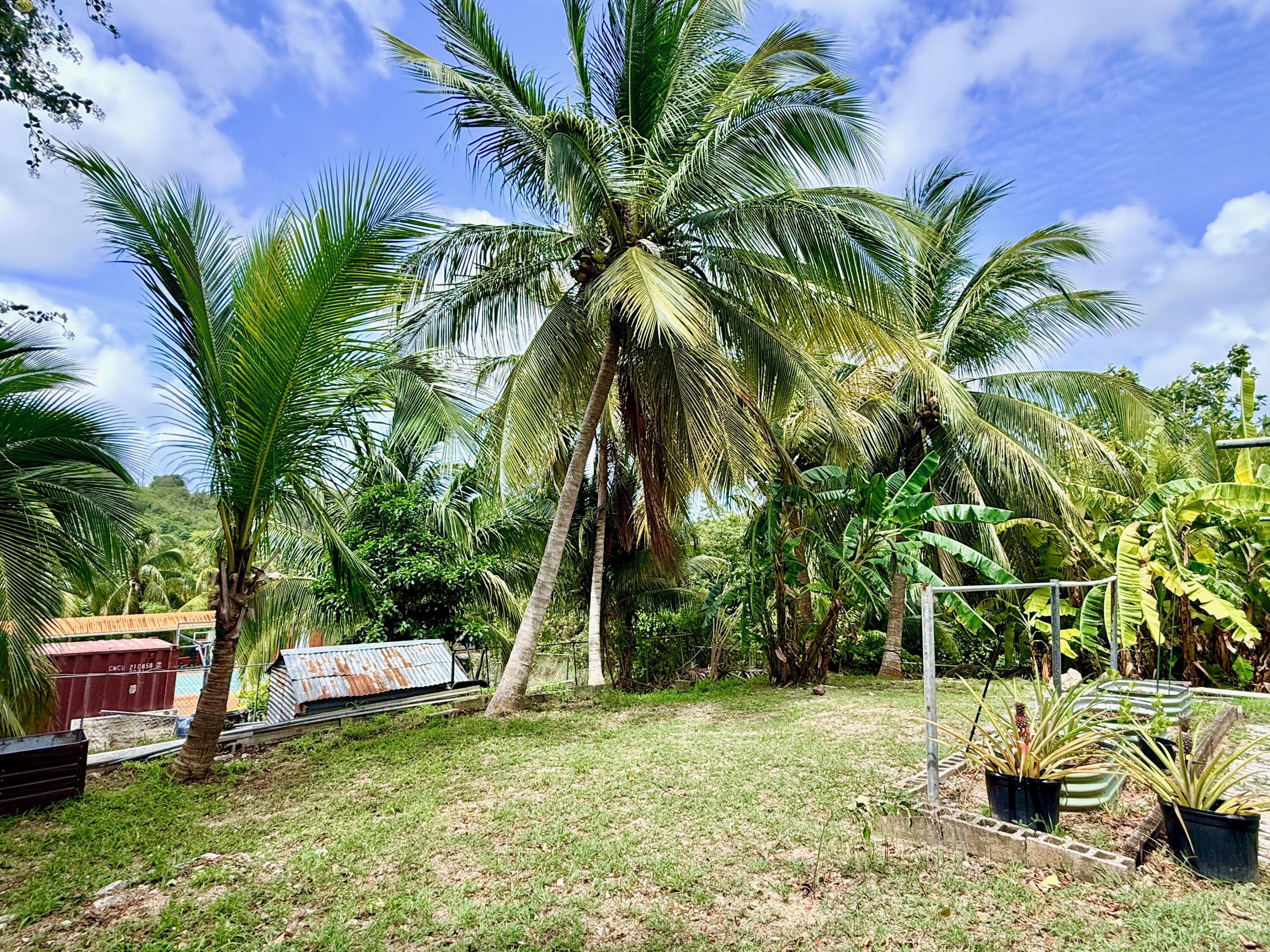 49 Rattan QU, St. Croix