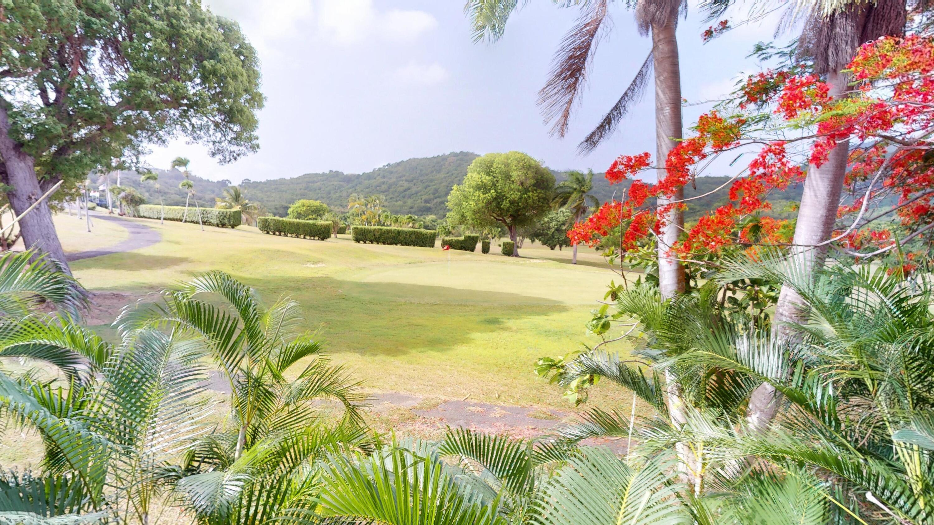 A Fountain NA, Sweet Lime I, St. Croix