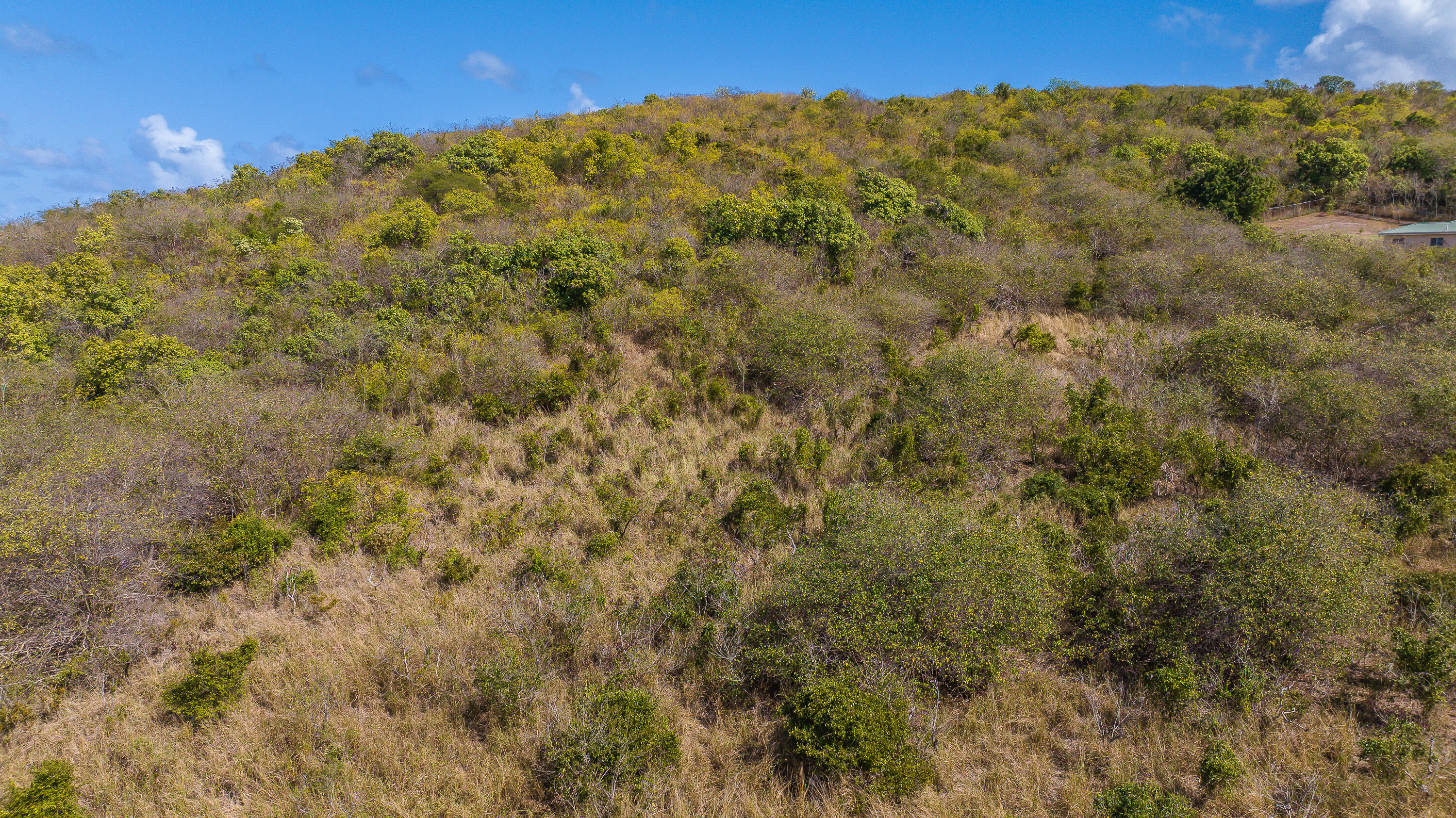 5A St. John QU, St. Croix