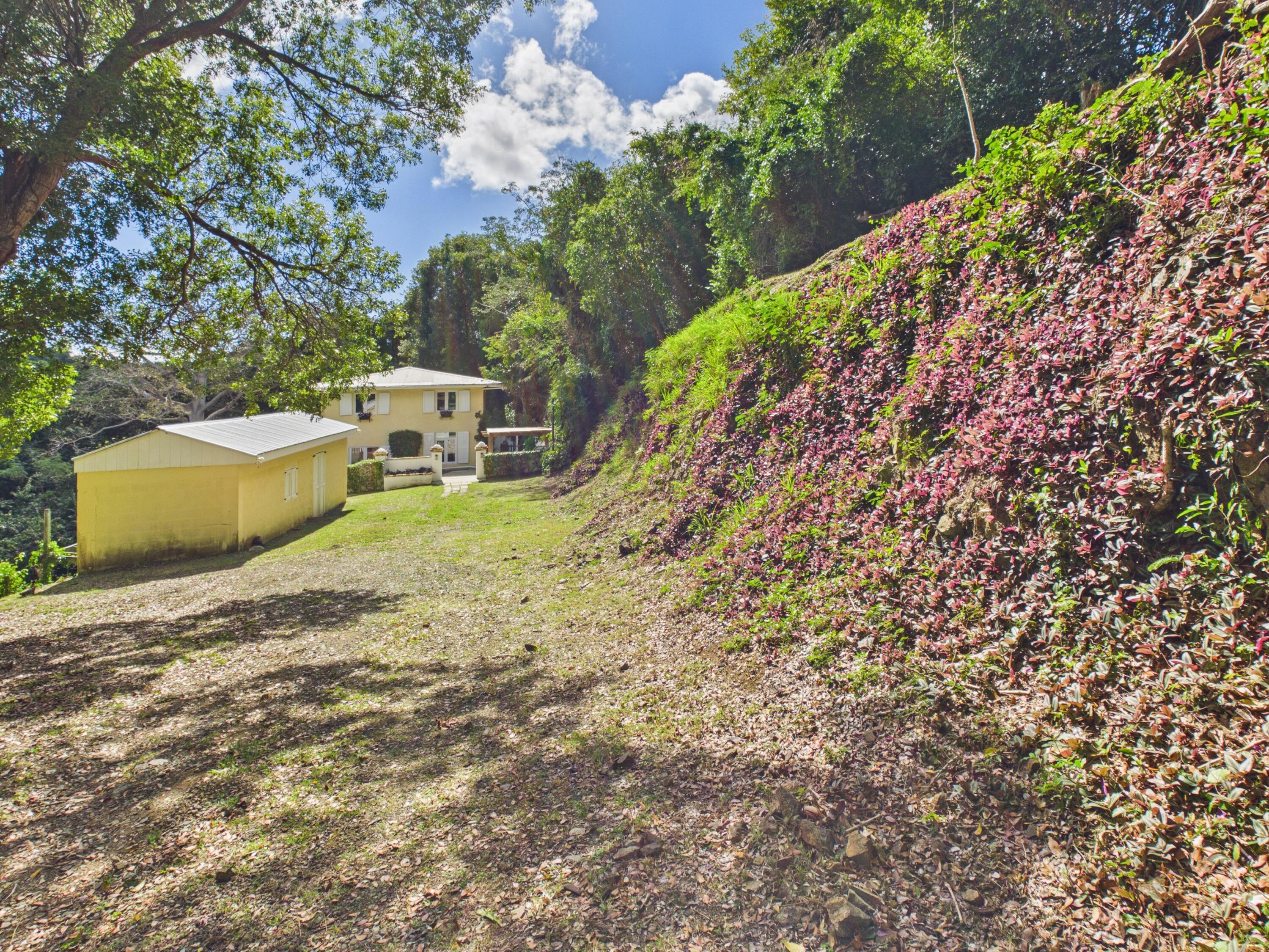 15-A Betsy's Jewel NB, St. Croix