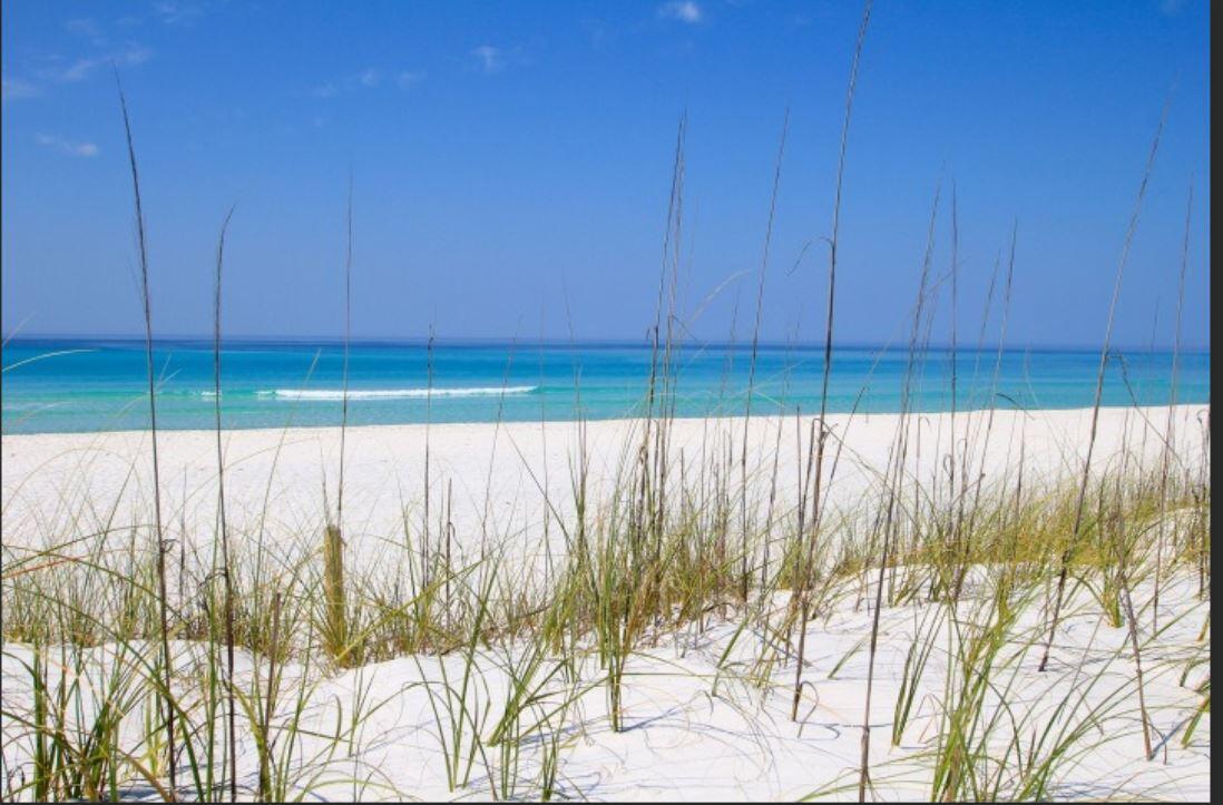 934 Sandbar Loop