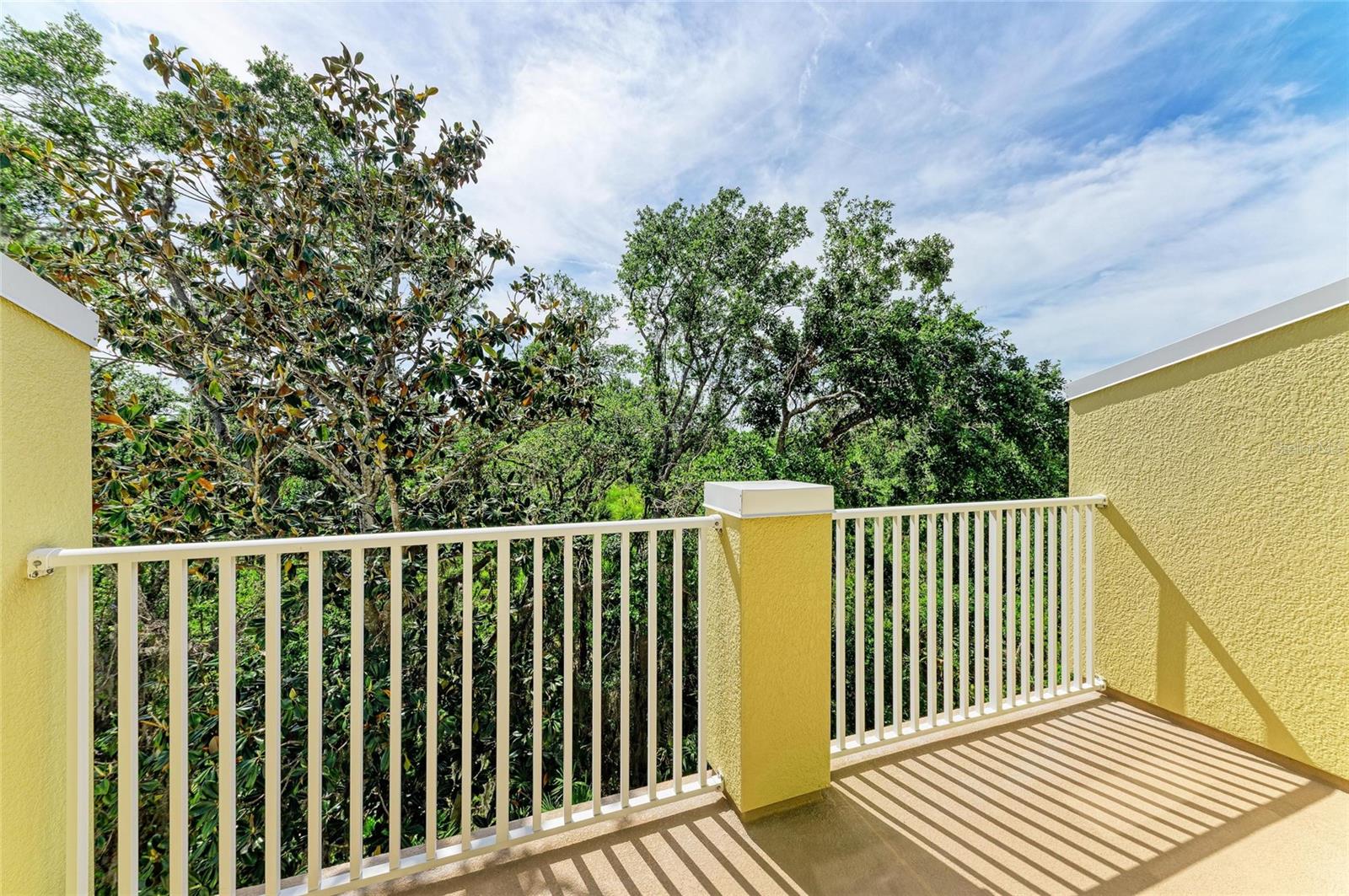 8943 WHITE SAGE LOOP