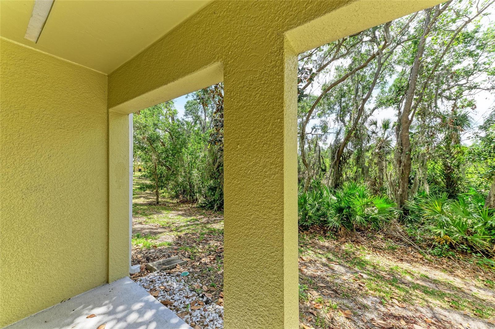 8943 WHITE SAGE LOOP