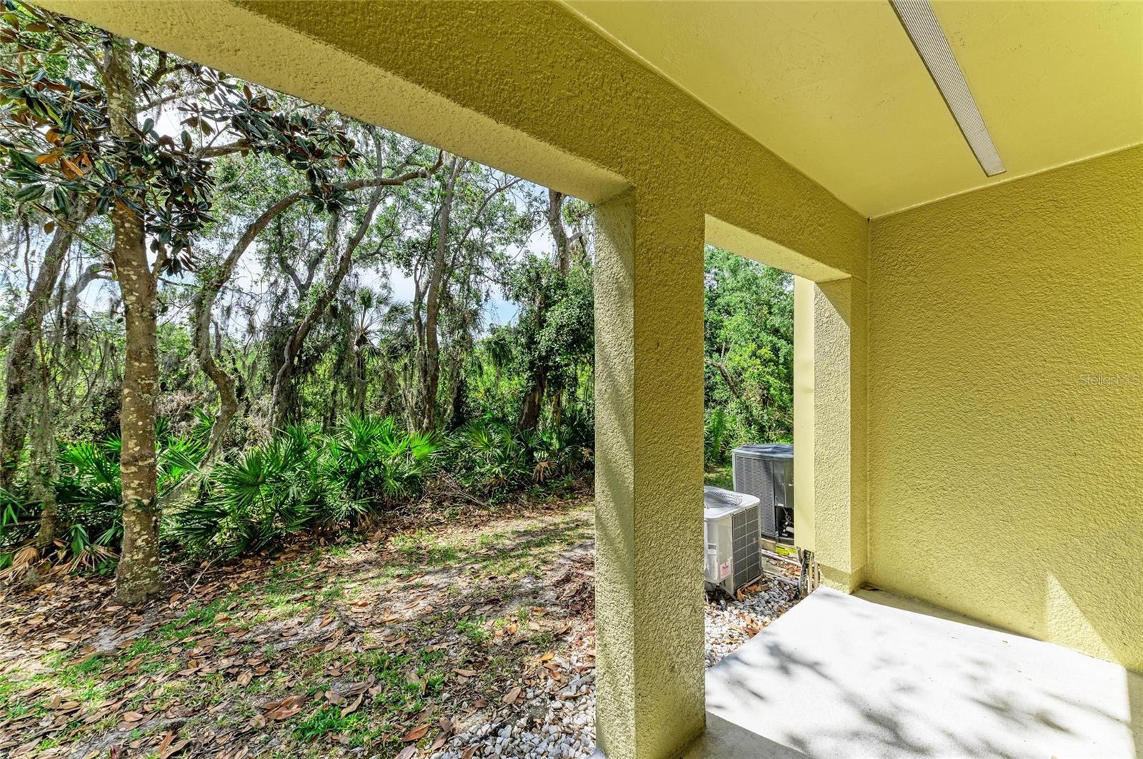 8943 WHITE SAGE LOOP