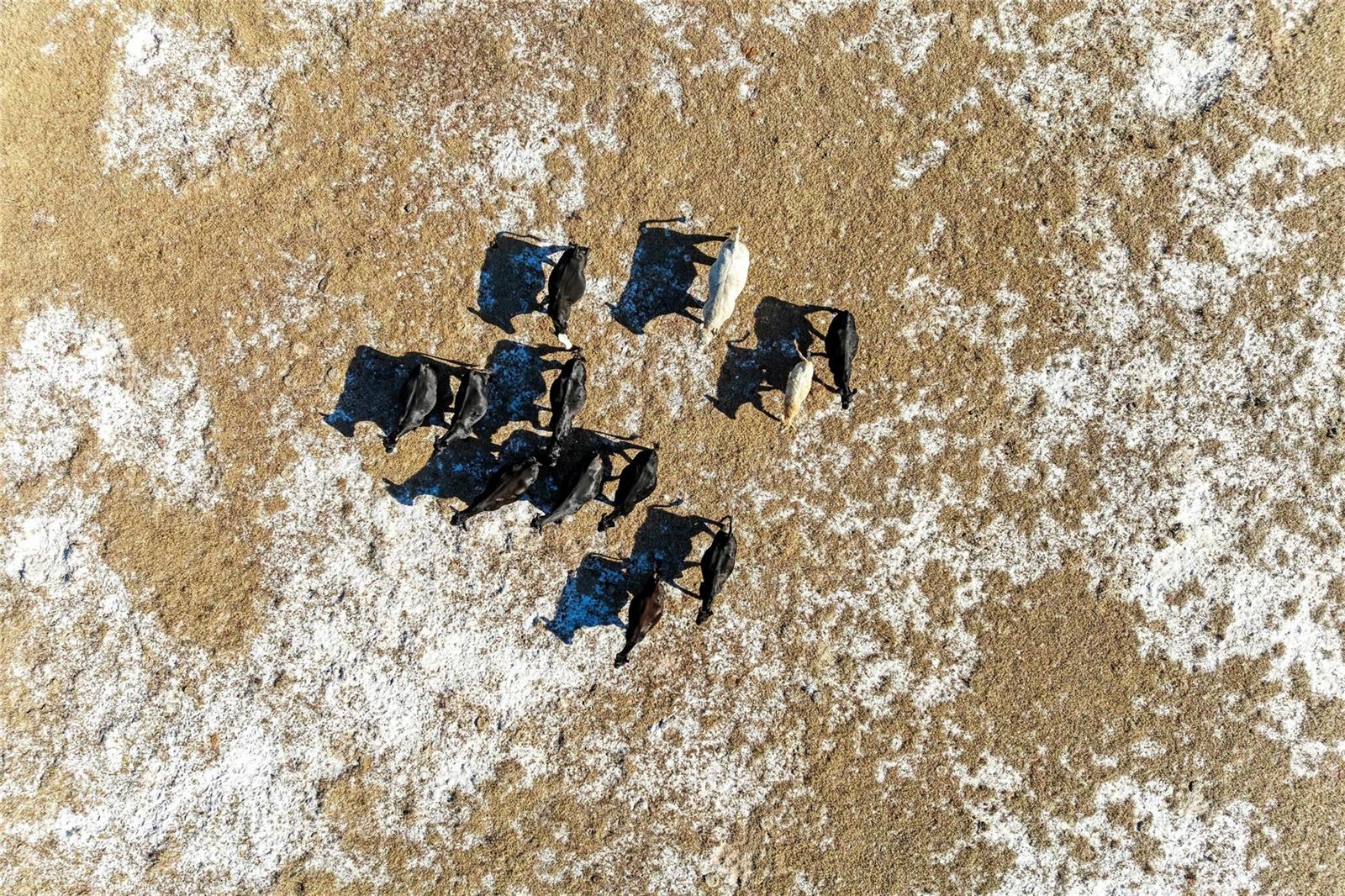 33100 & 33070 TAYLOR GRADE RD