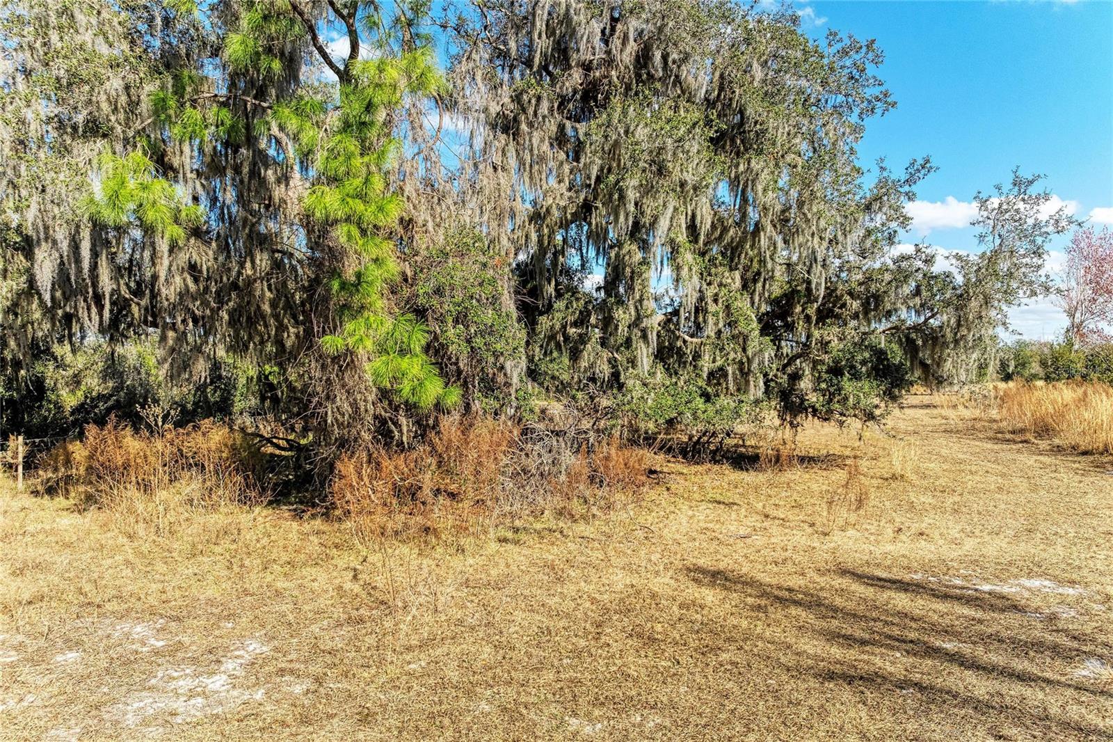 33100 & 33070 TAYLOR GRADE RD