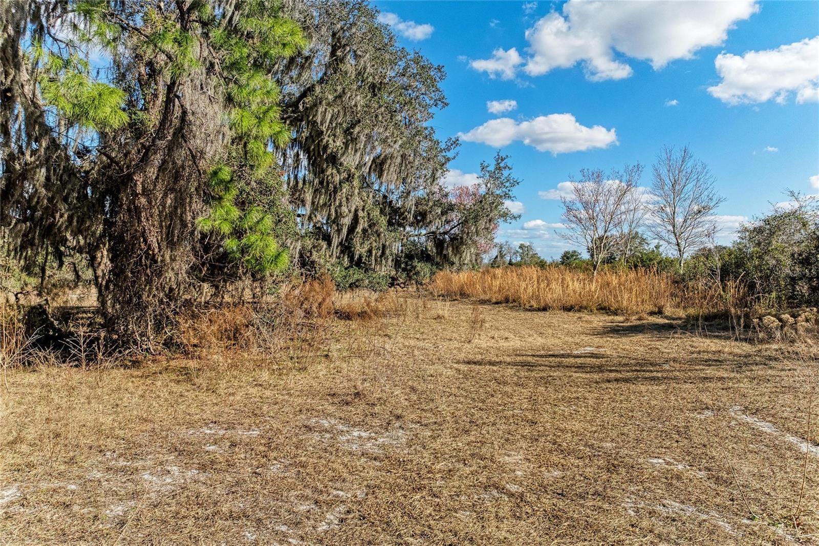 33100 & 33070 TAYLOR GRADE RD