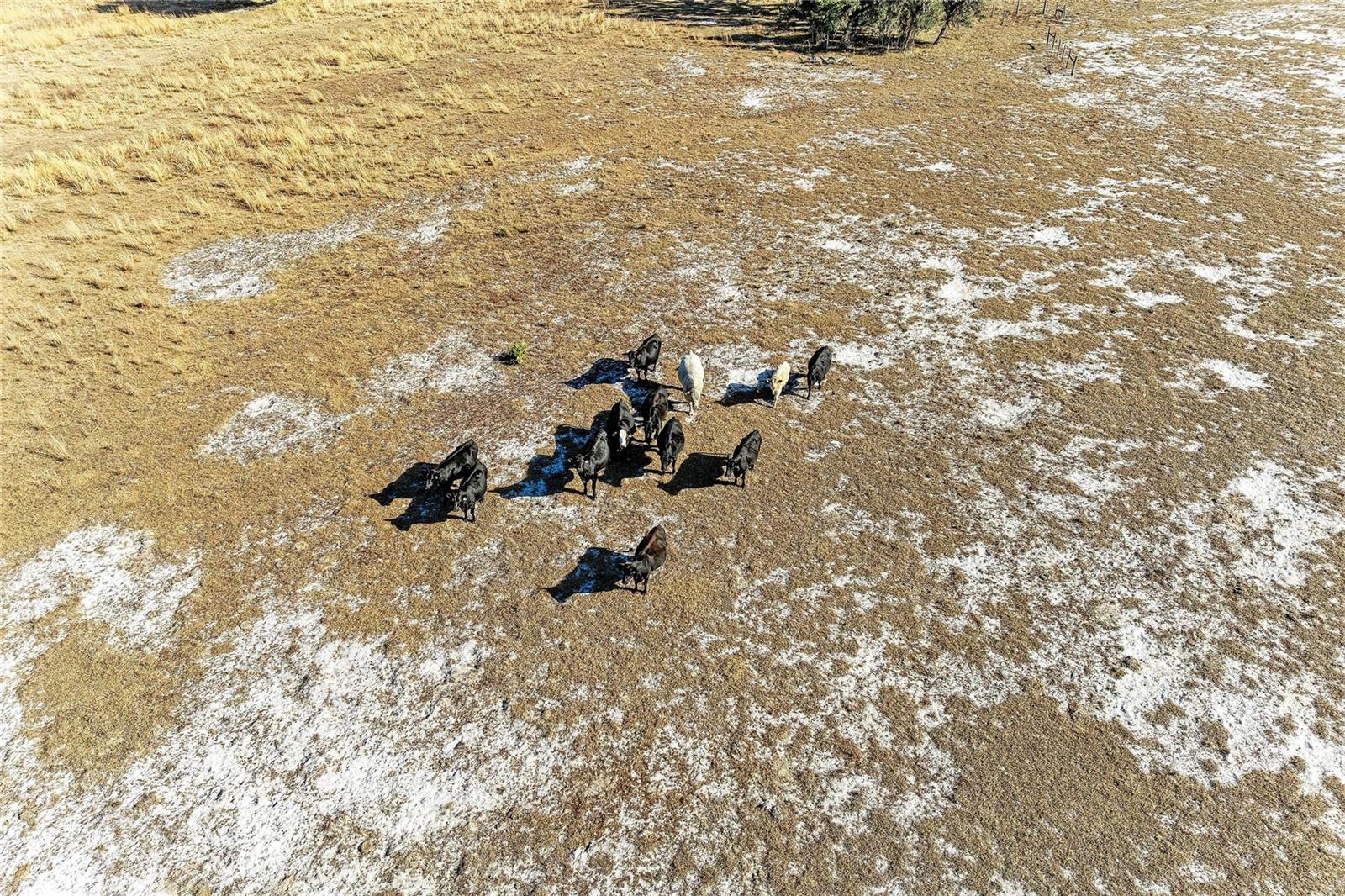 33100 & 33070 TAYLOR GRADE RD