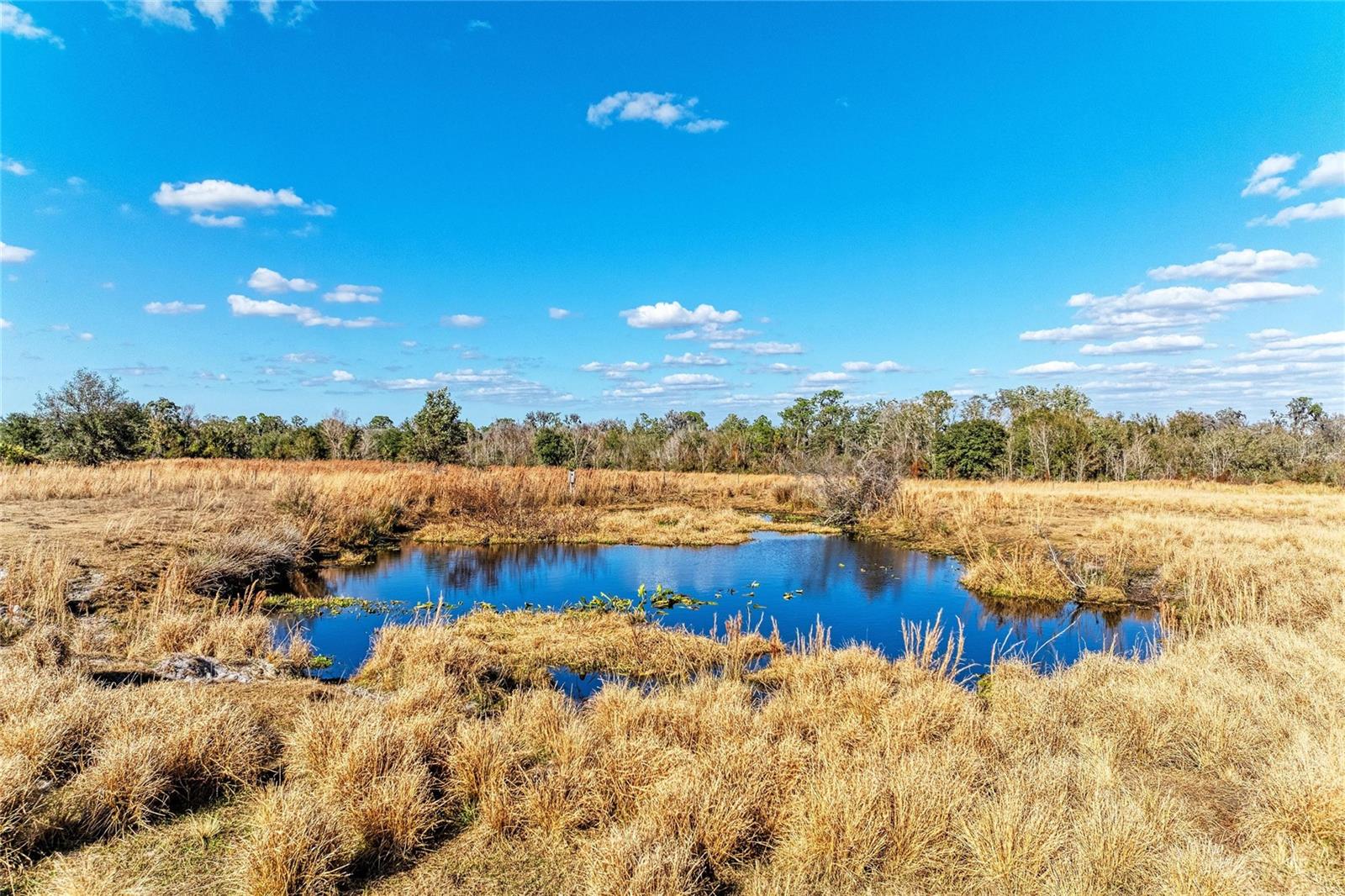 33100 & 33070 TAYLOR GRADE RD