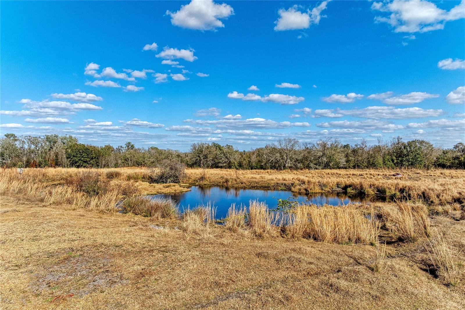 33100 & 33070 TAYLOR GRADE RD