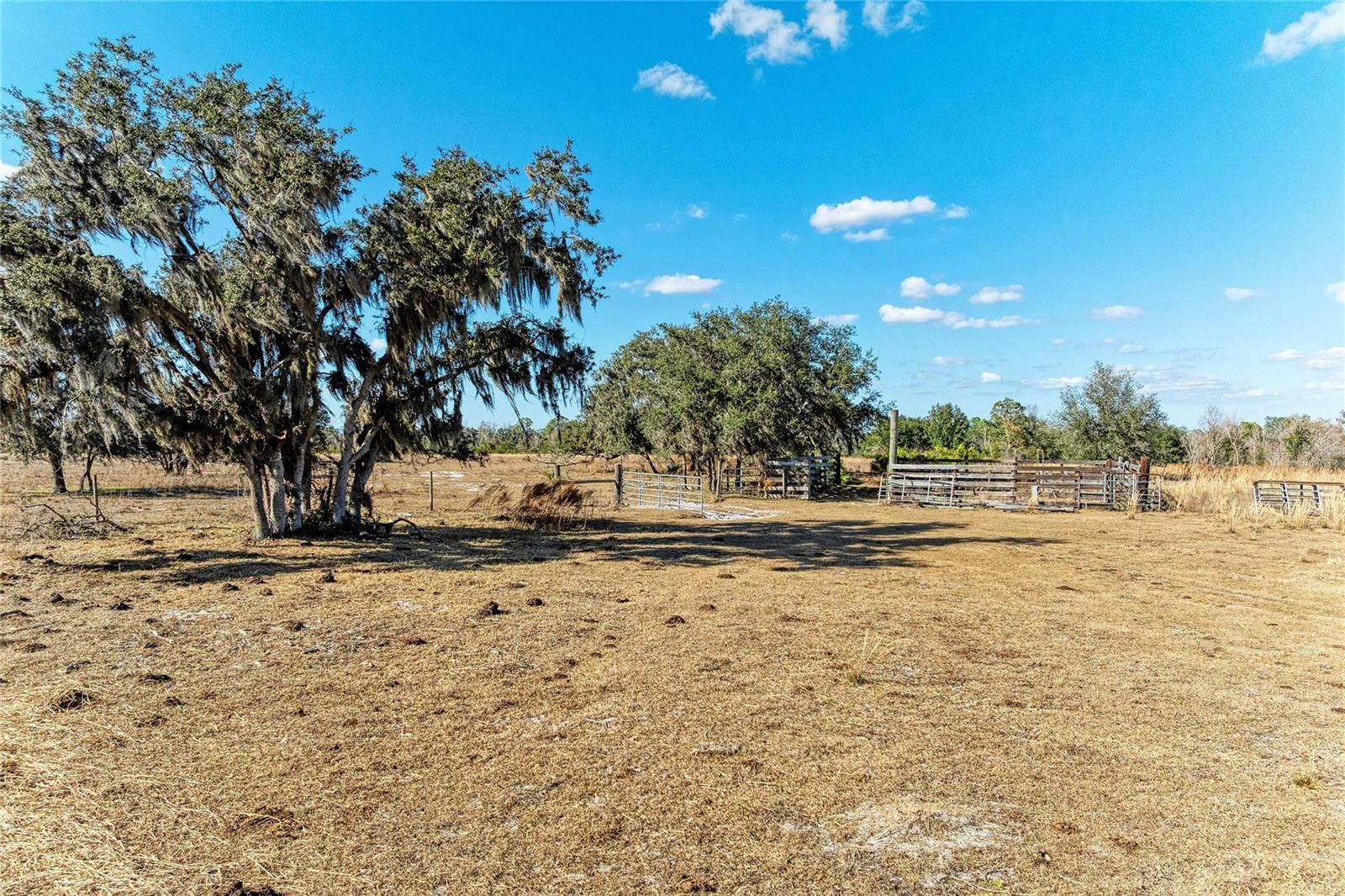 33100 & 33070 TAYLOR GRADE RD